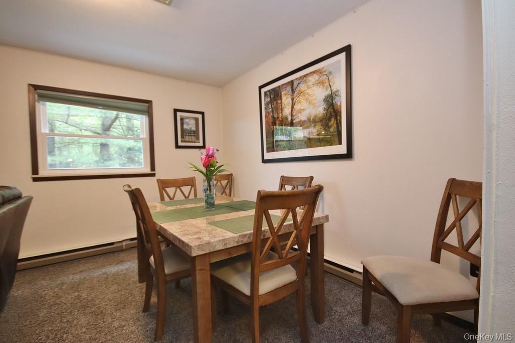 Single Family Drake  Sullivan County, NY 12775, MLS-916487-25