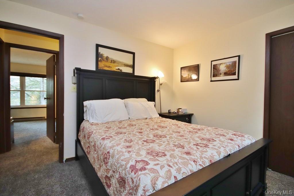 Single Family Drake  Sullivan County, NY 12775, MLS-916487-33