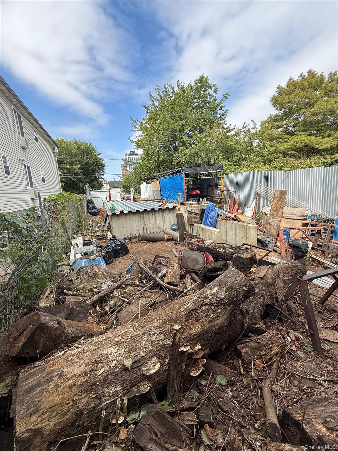 Land Glenmore Brooklyn, NY 11207, MLS-916514-3