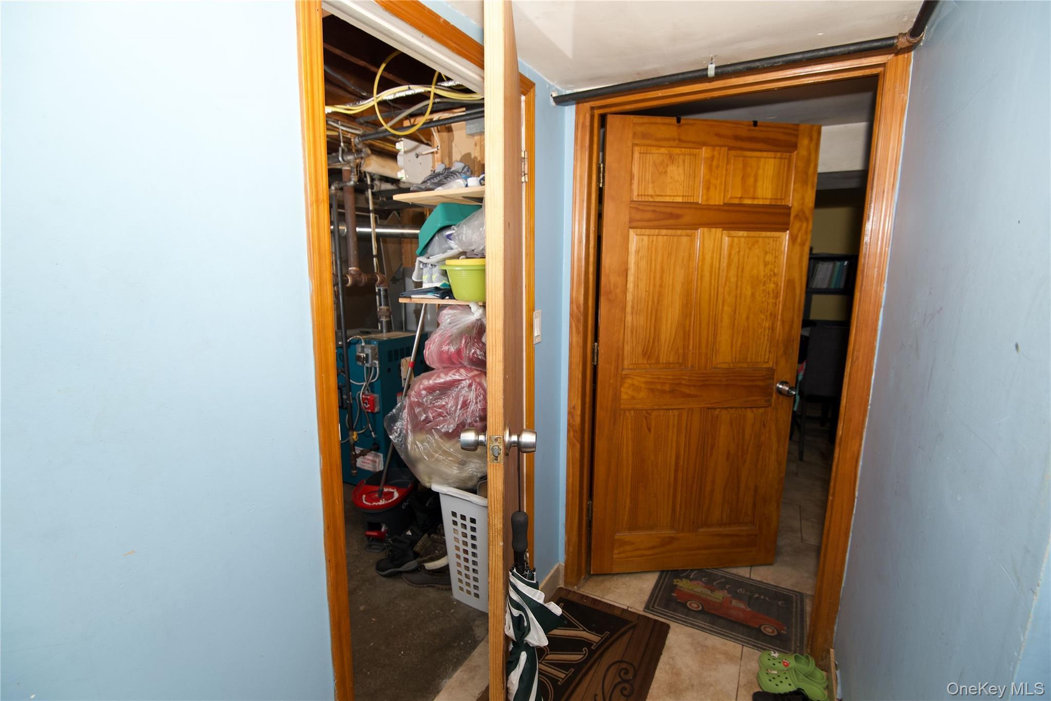 Single Family Dorothea  Nassau County, NY 11003, MLS-916540-12