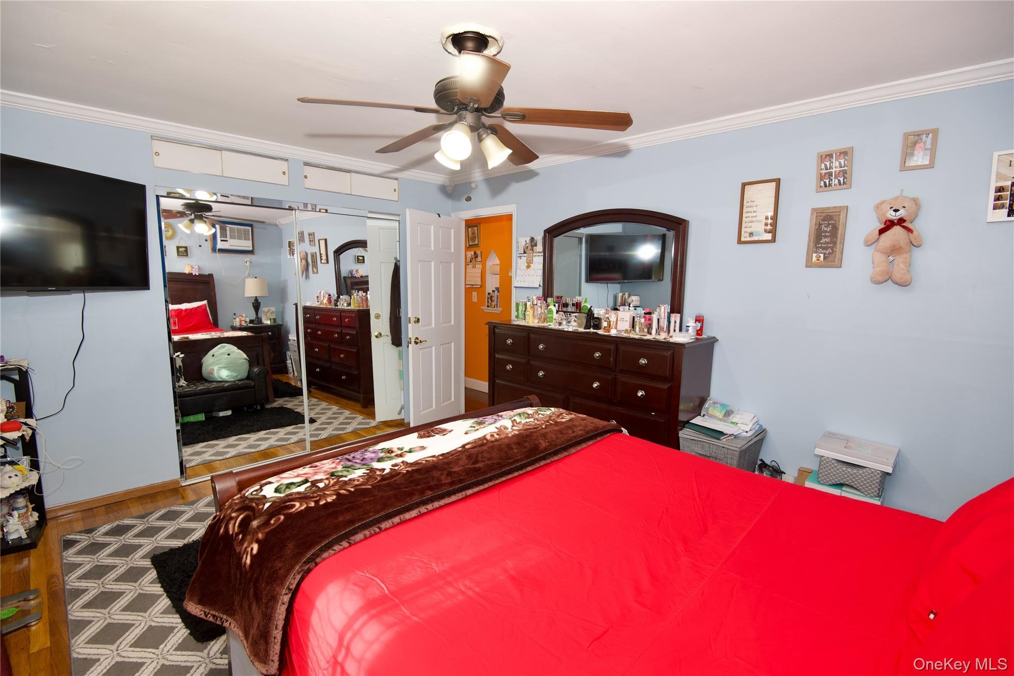 Single Family Dorothea  Nassau County, NY 11003, MLS-916540-7