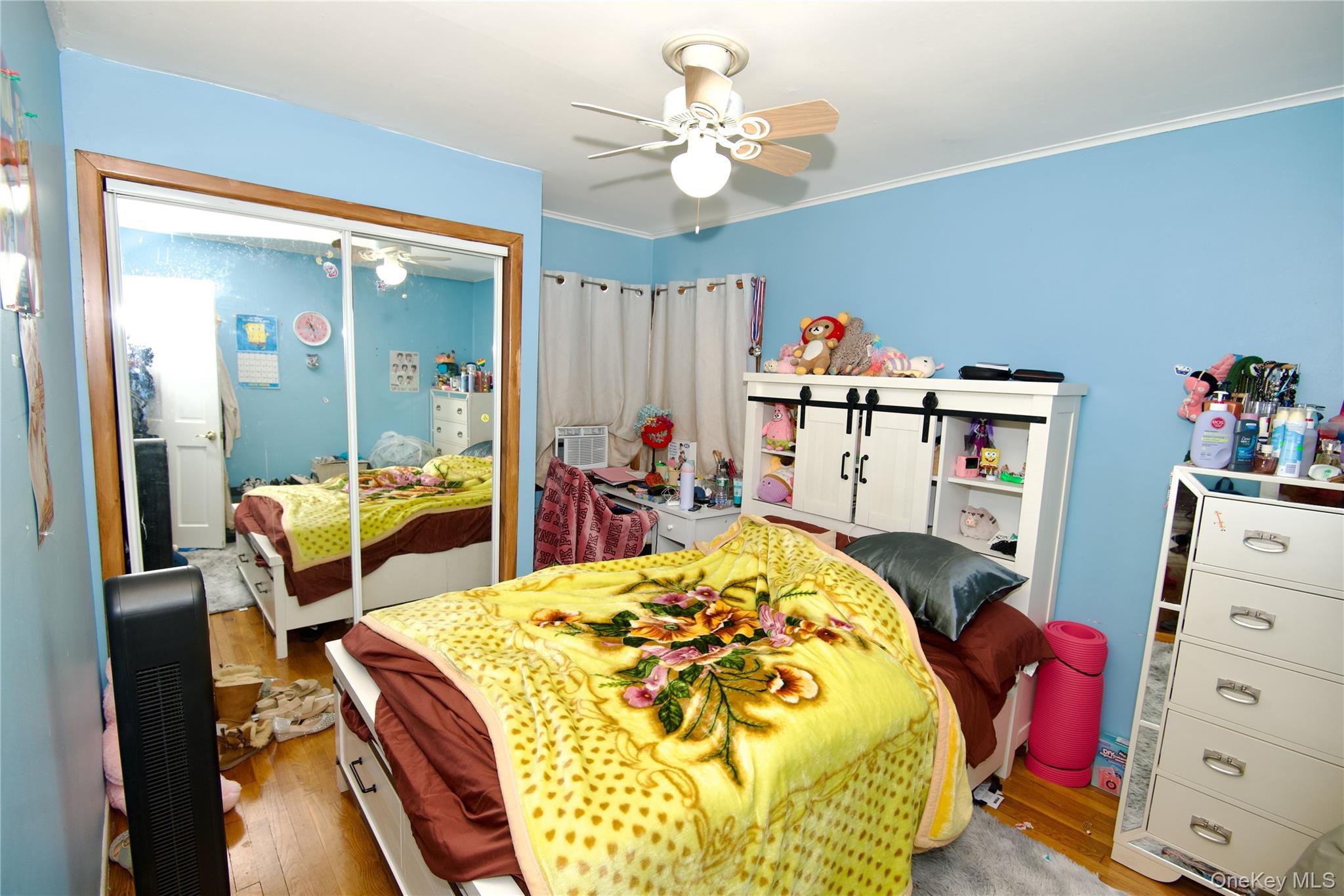 Single Family Dorothea  Nassau County, NY 11003, MLS-916540-8