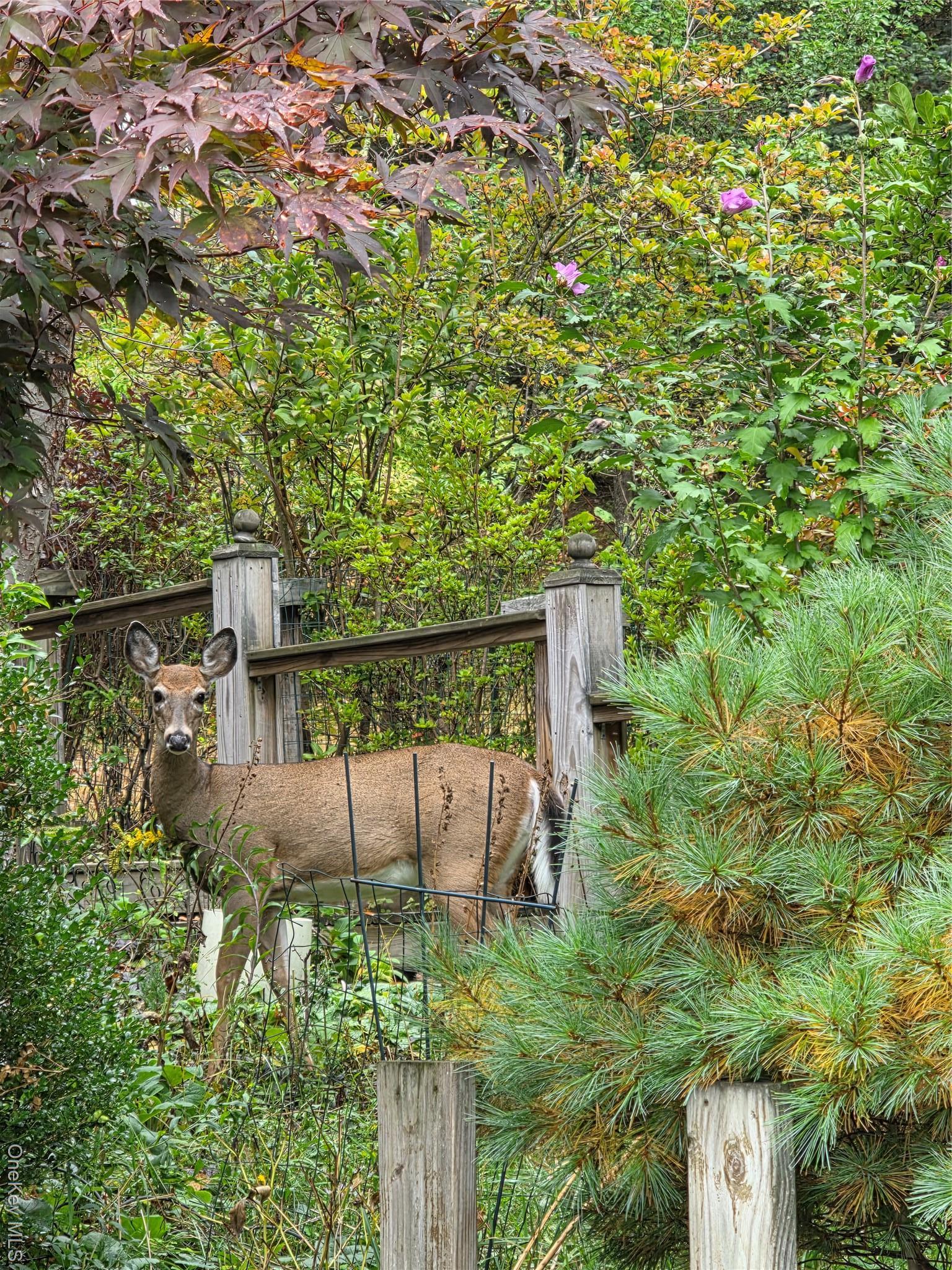 Single Family County Road 164 Sullivan County, NY 12748, MLS-916560-10