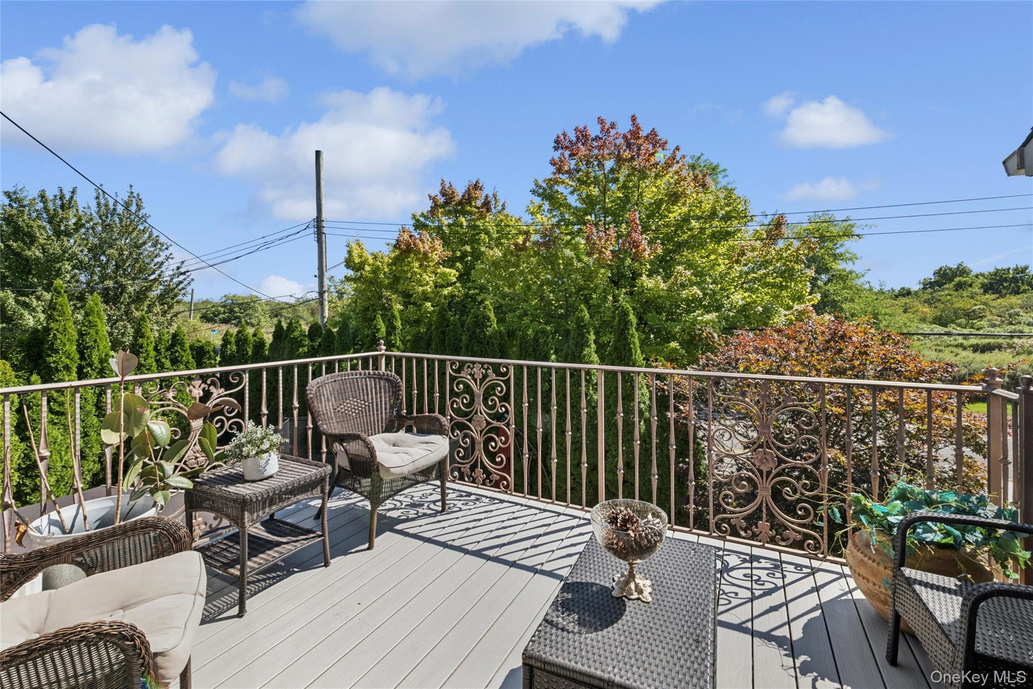 Single Family 85th Queens, NY 11414, MLS-916686-16