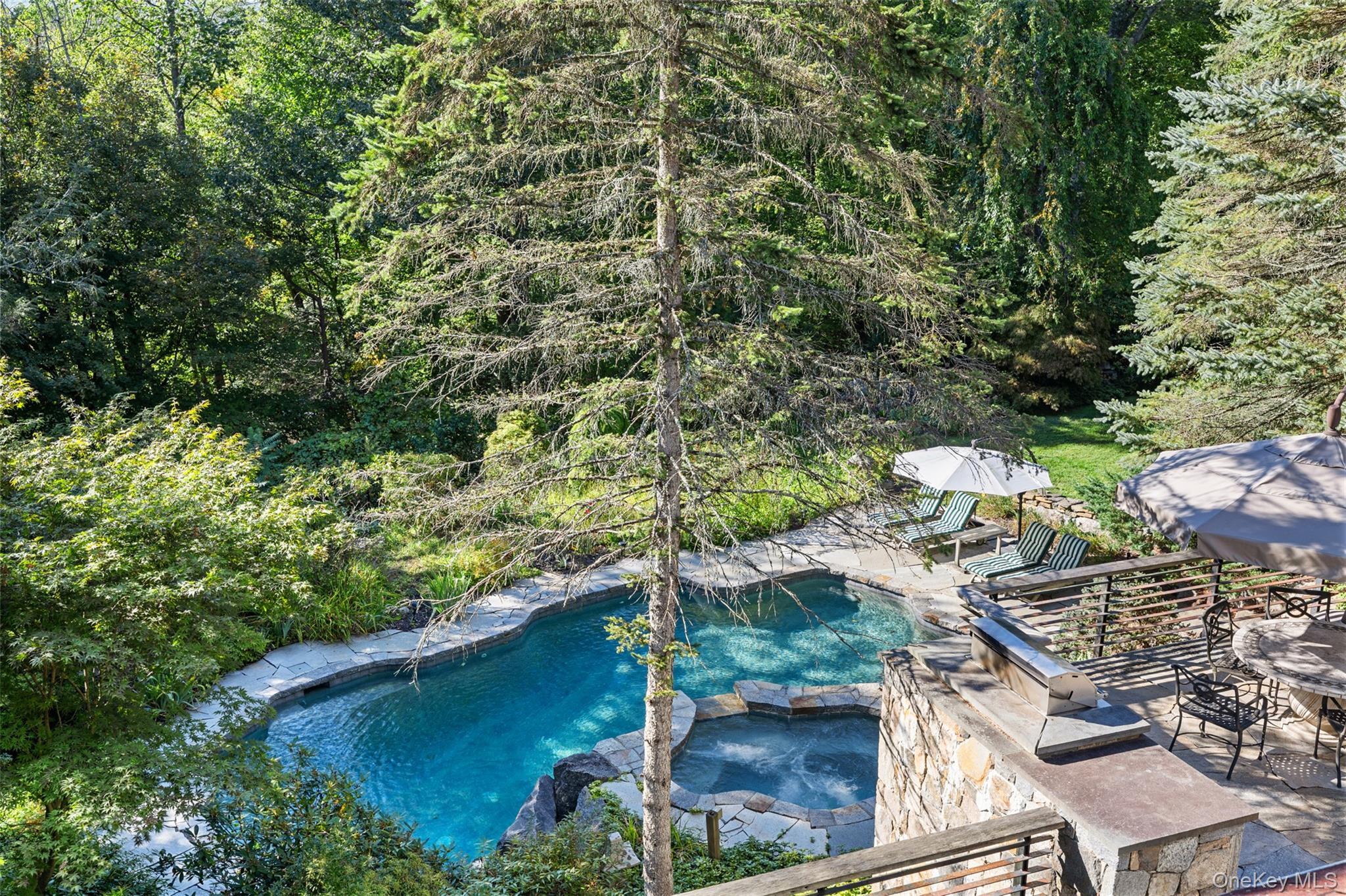 Single Family Bishop Park Westchester County, NY 10576, MLS-916708-29