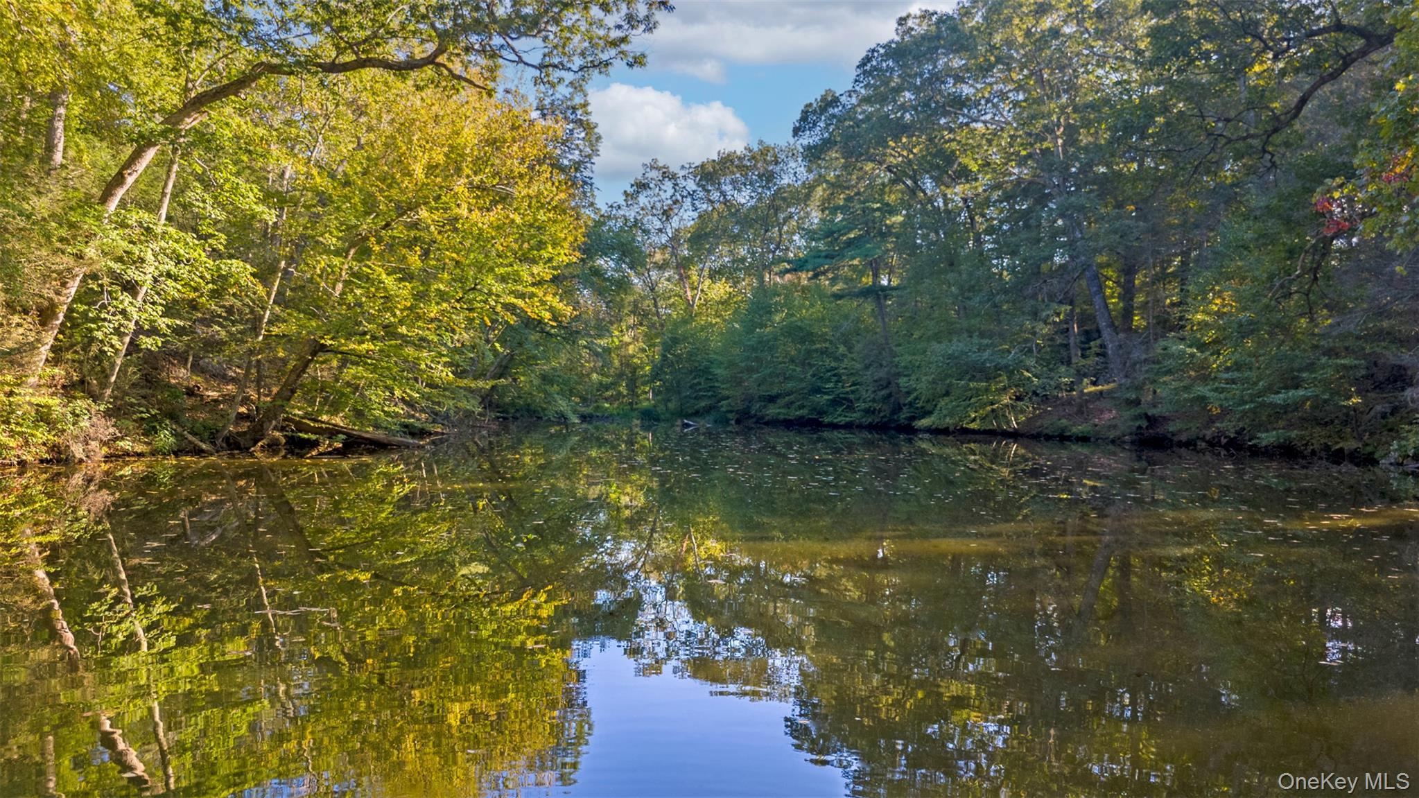 Single Family Bishop Park Westchester County, NY 10576, MLS-916708-40