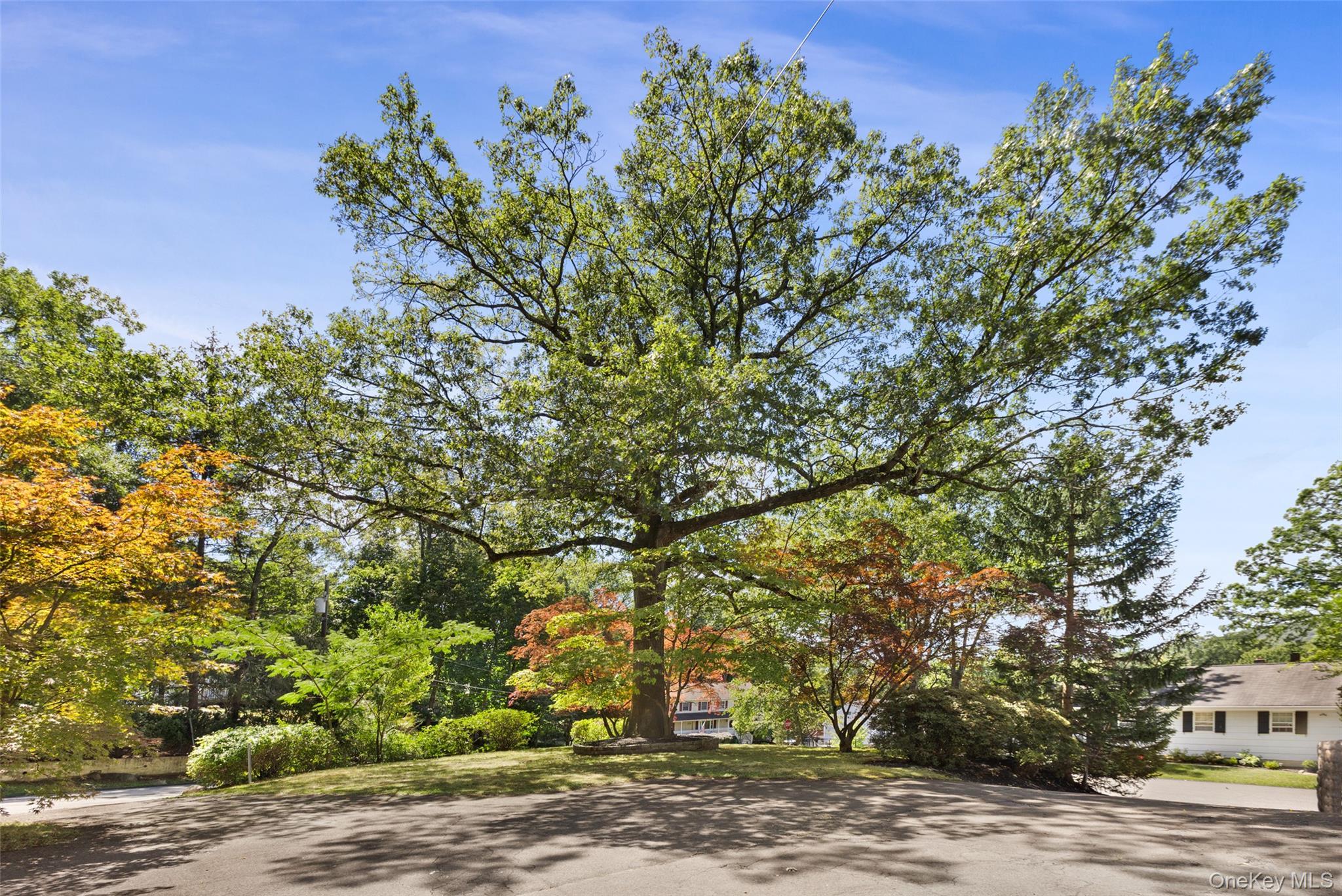 Single Family Prospect  Rockland County, NY 10901, MLS-916718-36