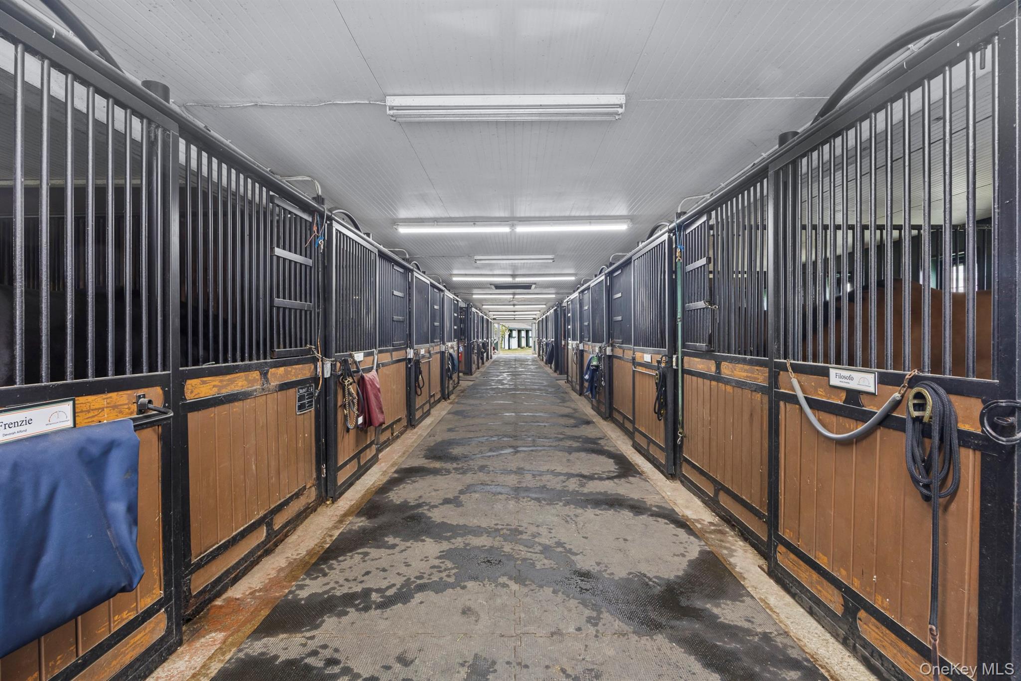 Single Family Peach Lake Westchester County, NY 10560, MLS-916735-18