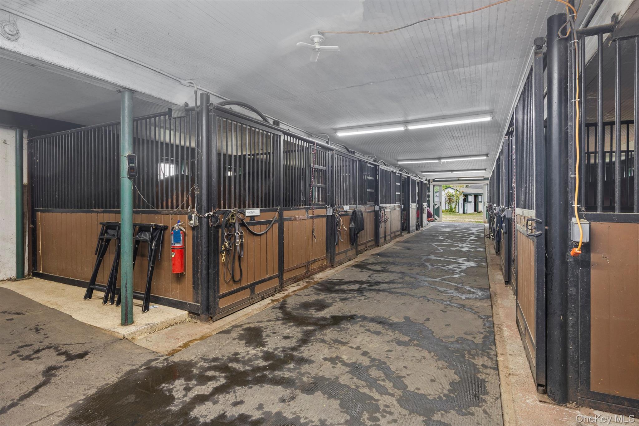 Single Family Peach Lake Westchester County, NY 10560, MLS-916735-19