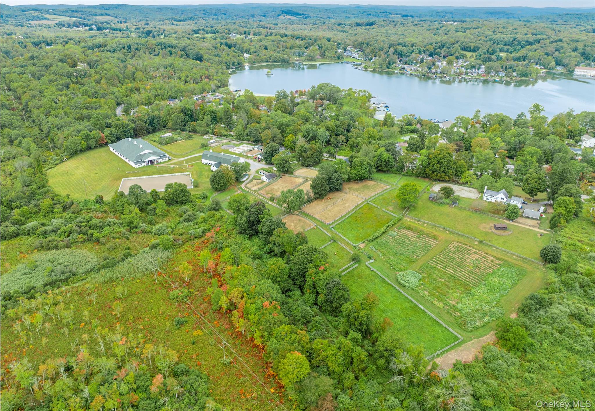 Single Family Peach Lake Westchester County, NY 10560, MLS-916735-3