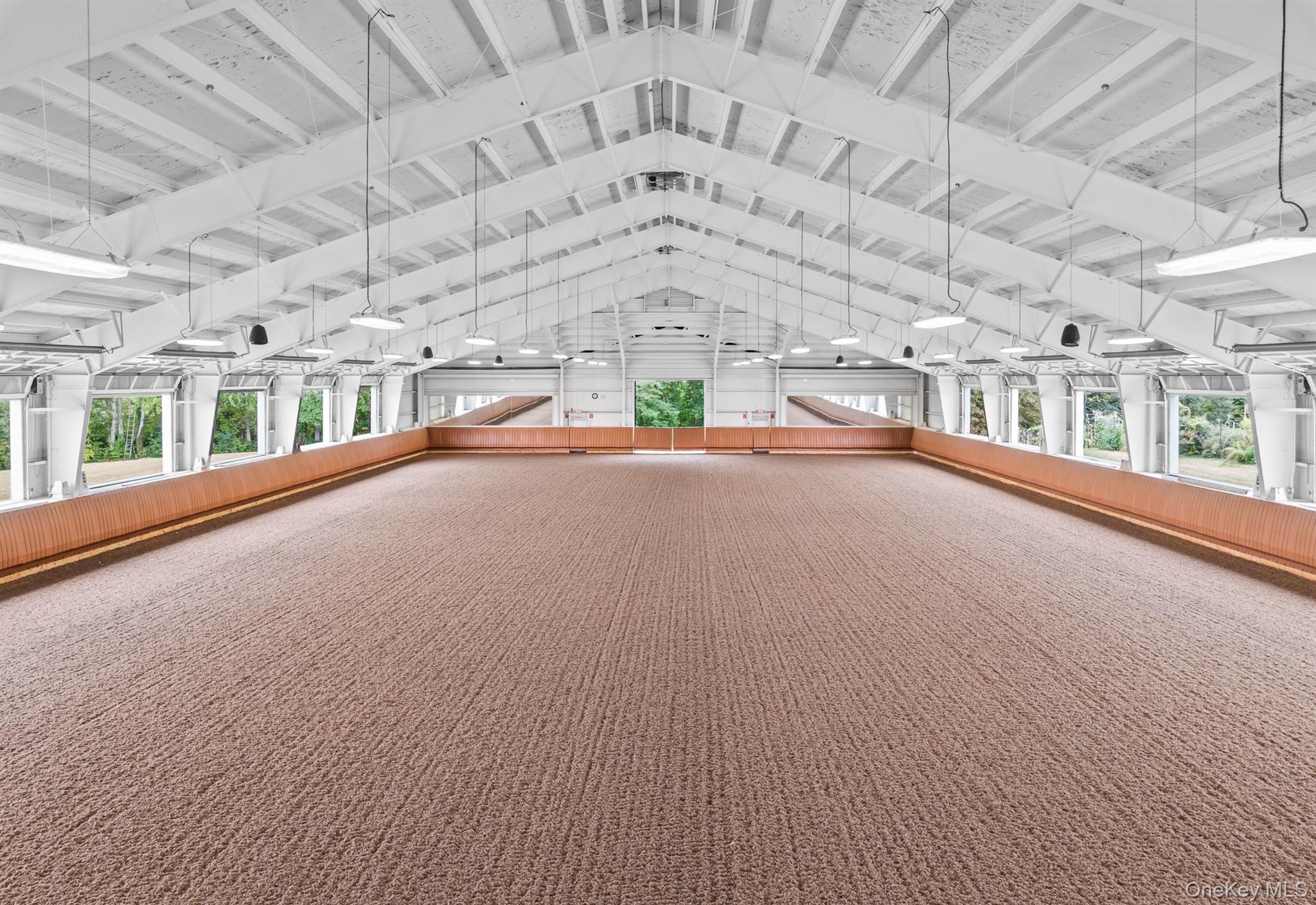 Single Family Peach Lake Westchester County, NY 10560, MLS-916735-6