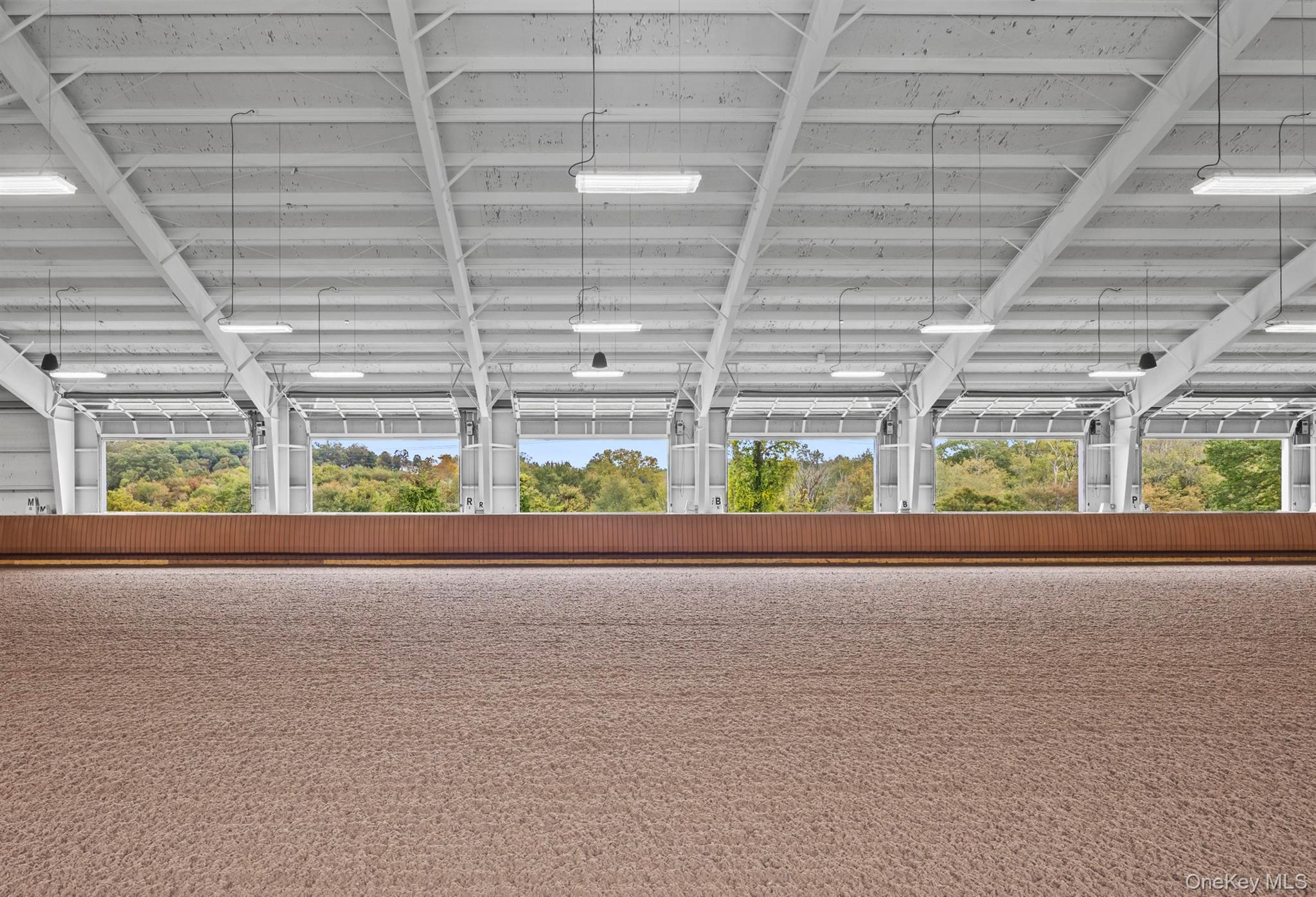 Single Family Peach Lake Westchester County, NY 10560, MLS-916735-8