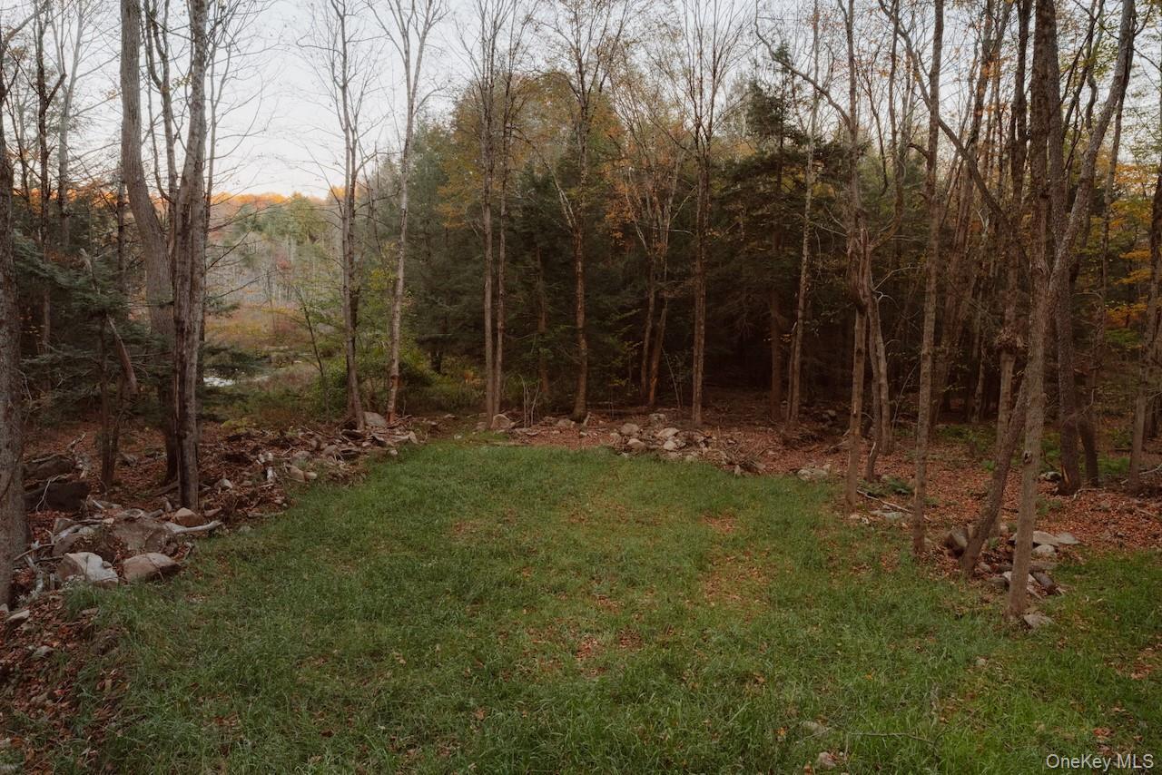 Single Family Bowers Sullivan County, NY 12776, MLS-916781-22