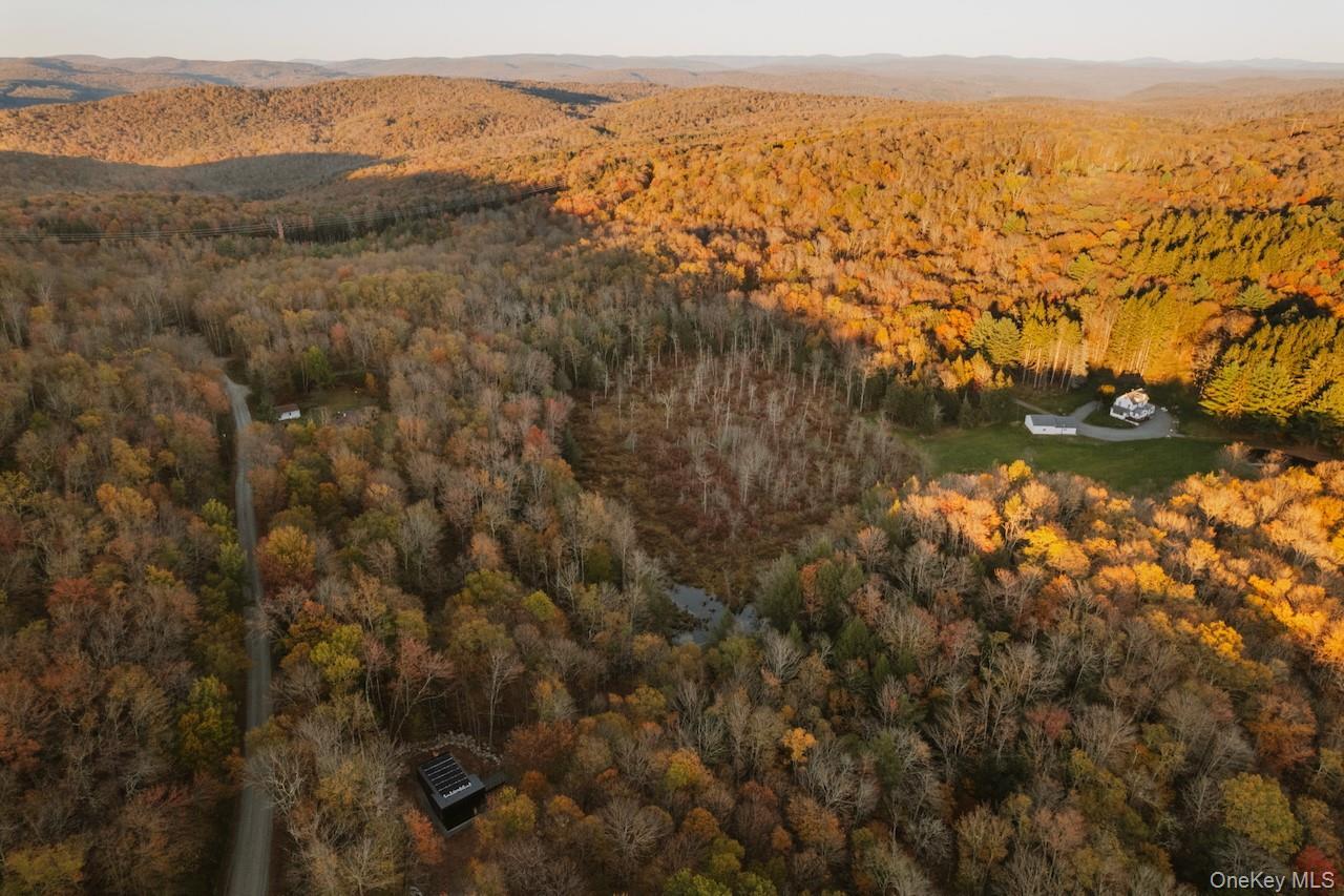 Single Family Bowers  Sullivan County, NY 12776, MLS-916781-28