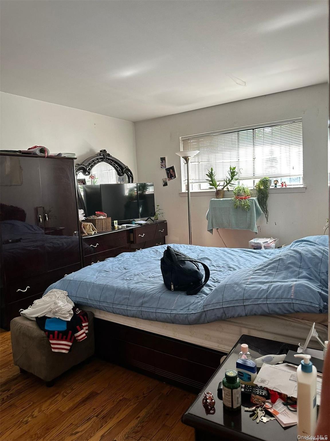 Single Family Kalmia Queens, NY 11355, MLS-916804-4