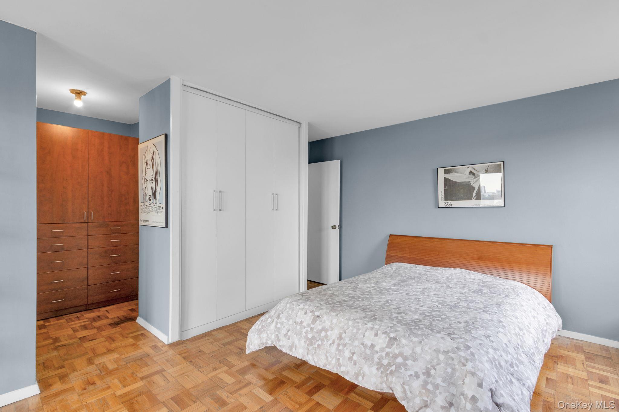 Coop Johnson  Bronx, NY 10463, MLS-916827-20