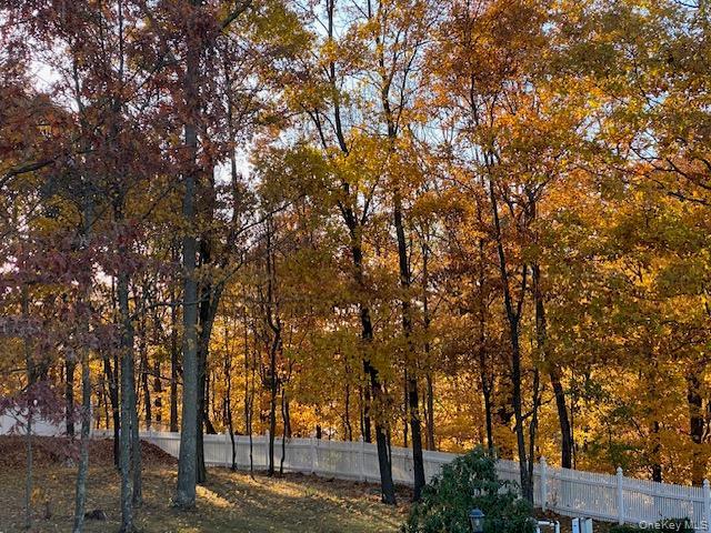 Single Family Pacer Orange County, NY 10924, MLS-916838-46