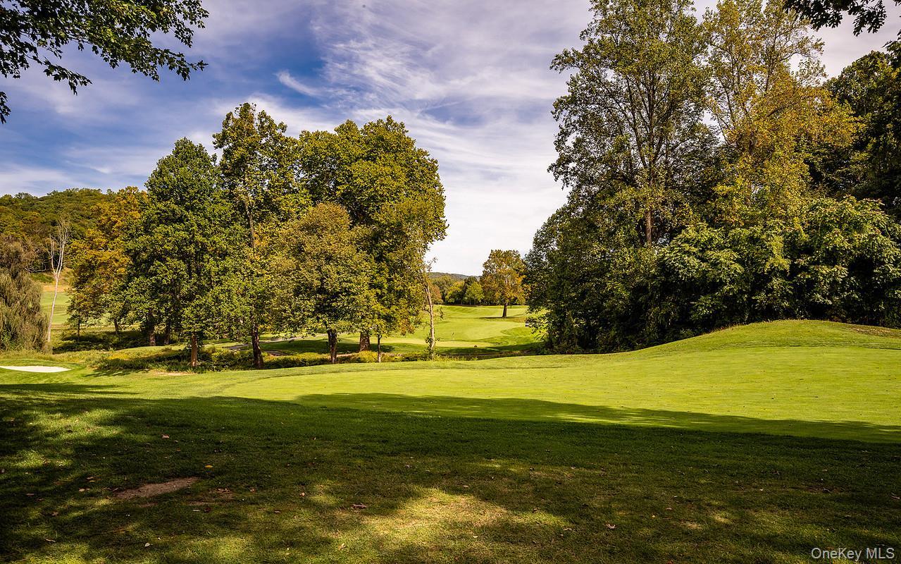 Single Family Adams Rush  Westchester County, NY 10567, MLS-916941-16