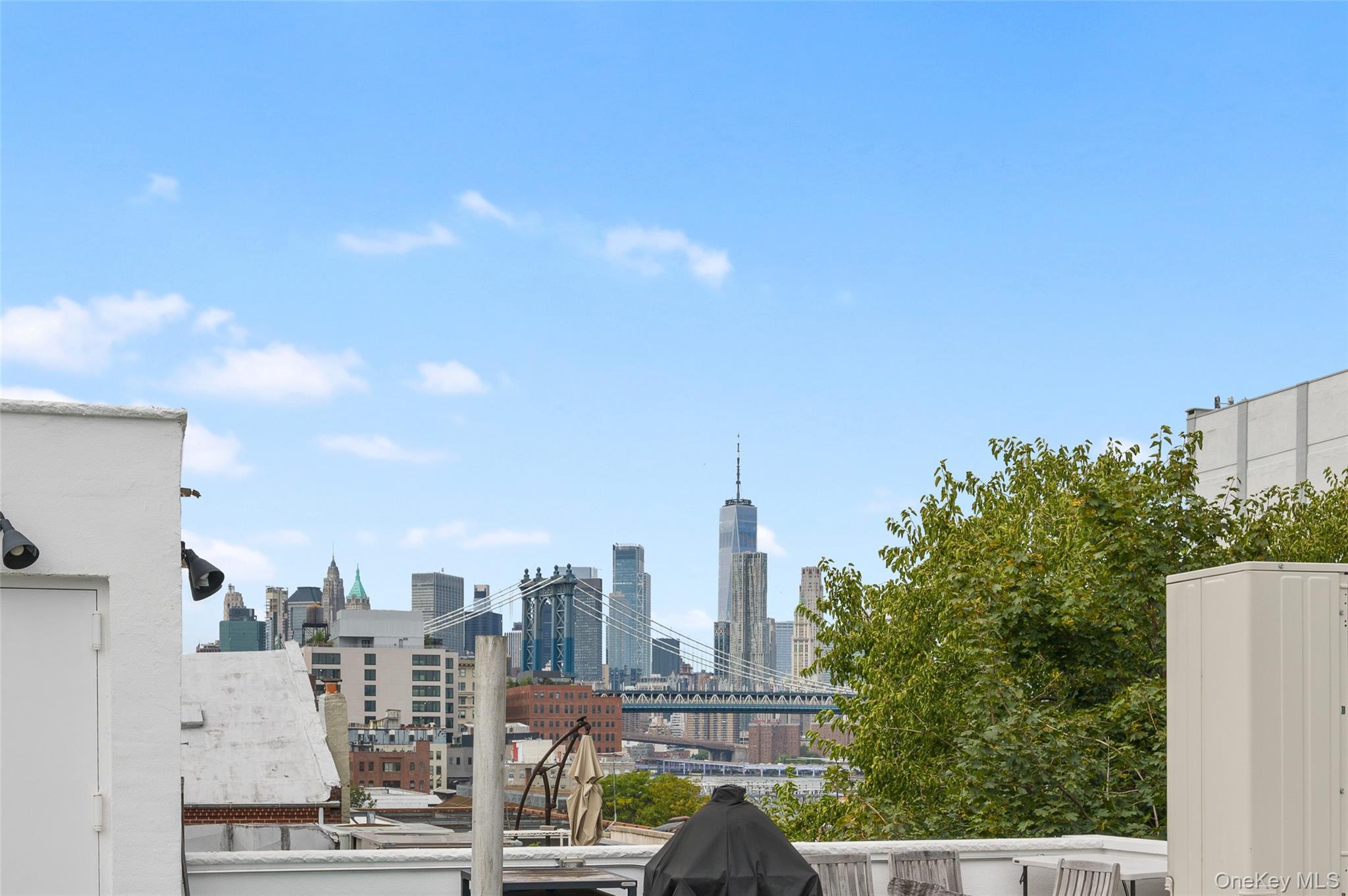 Single Family Evans Brooklyn, NY 11201, MLS-916953-13