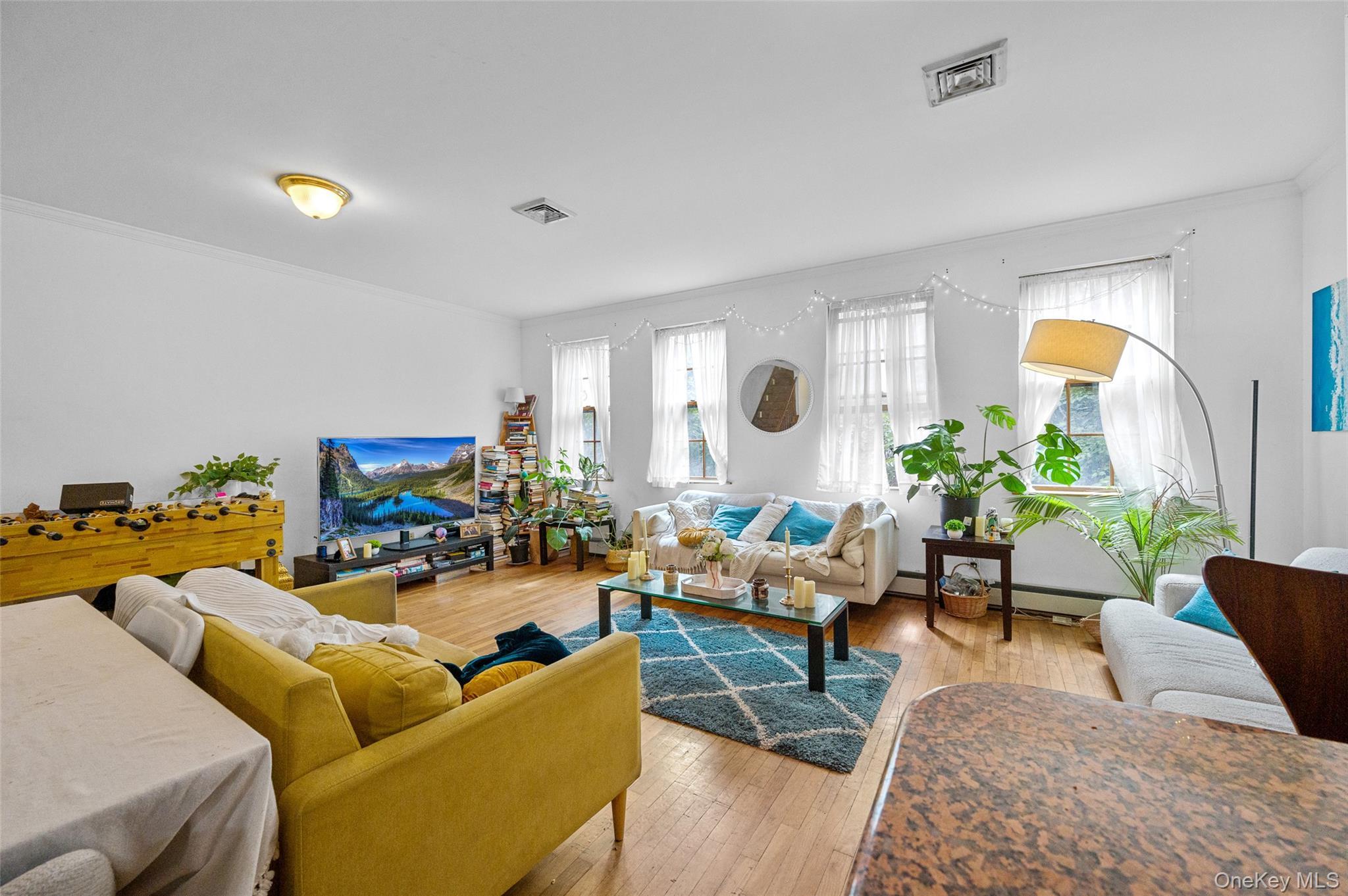 Single Family Evans Brooklyn, NY 11201, MLS-916953-3