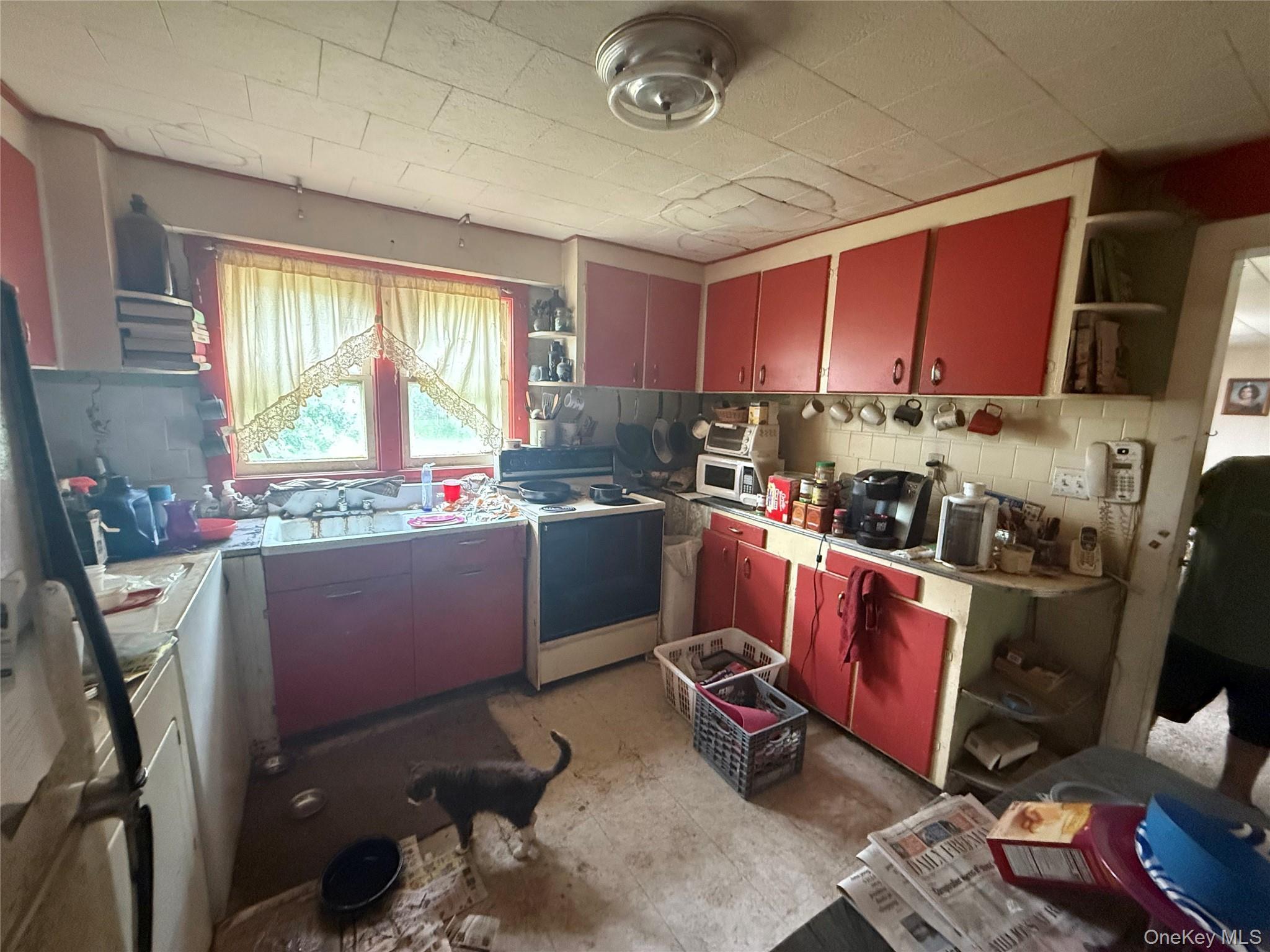 Single Family Pettit  Ulster County, NY 12401, MLS-916955-21