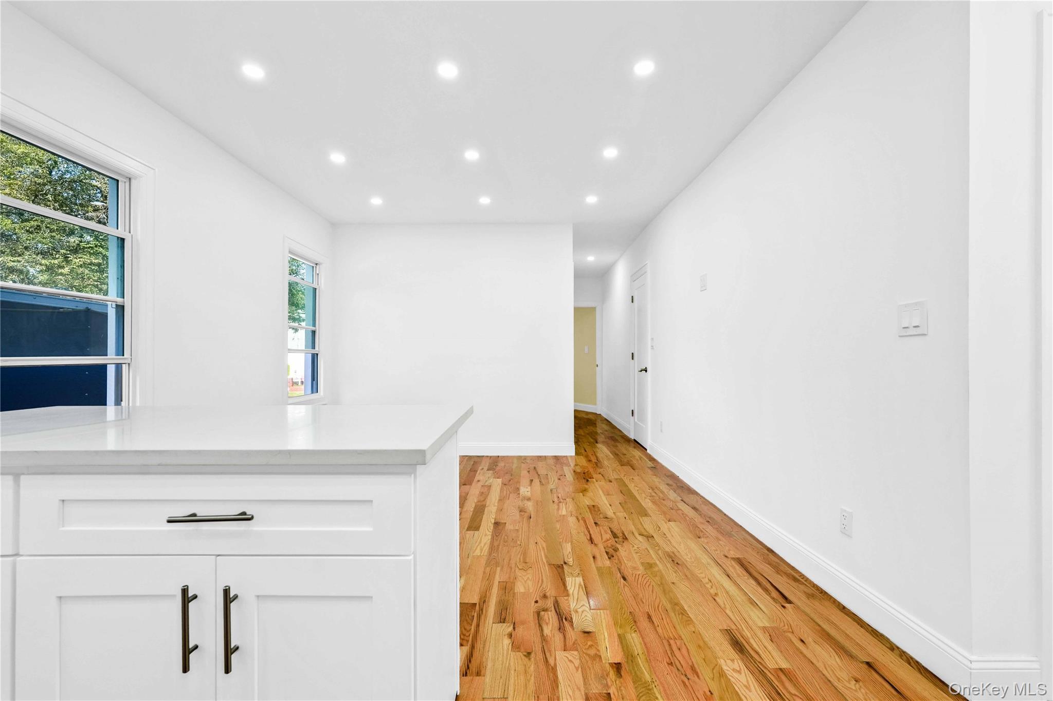 Single Family Linden Blvd  Queens, NY 11436, MLS-917049-5