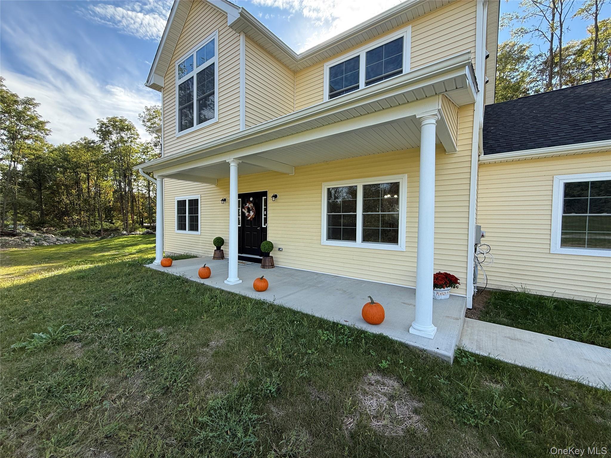 Single Family Silo  Ulster County, NY 12589, MLS-917076-2