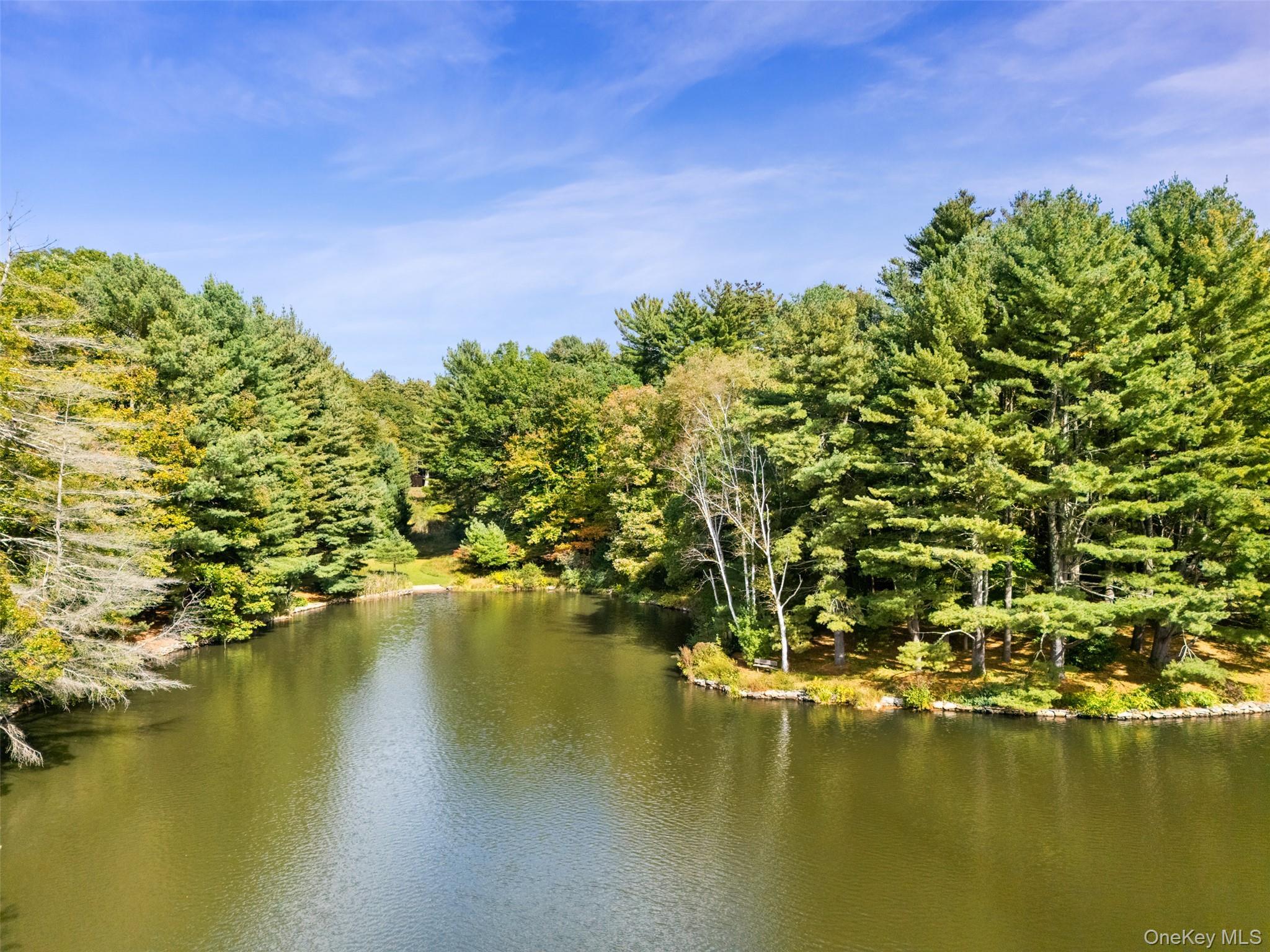 Single Family Old Corner Westchester County, NY 10506, MLS-917089-3