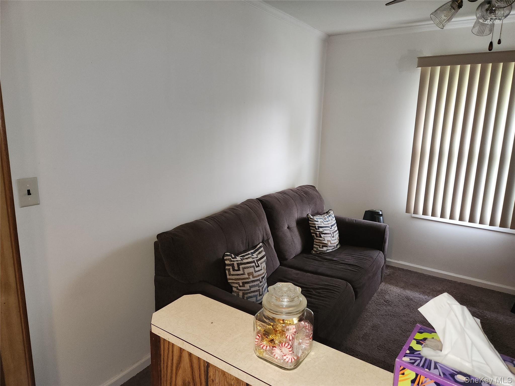 Single Family Warren  Nassau County, NY 11553, MLS-917112-10