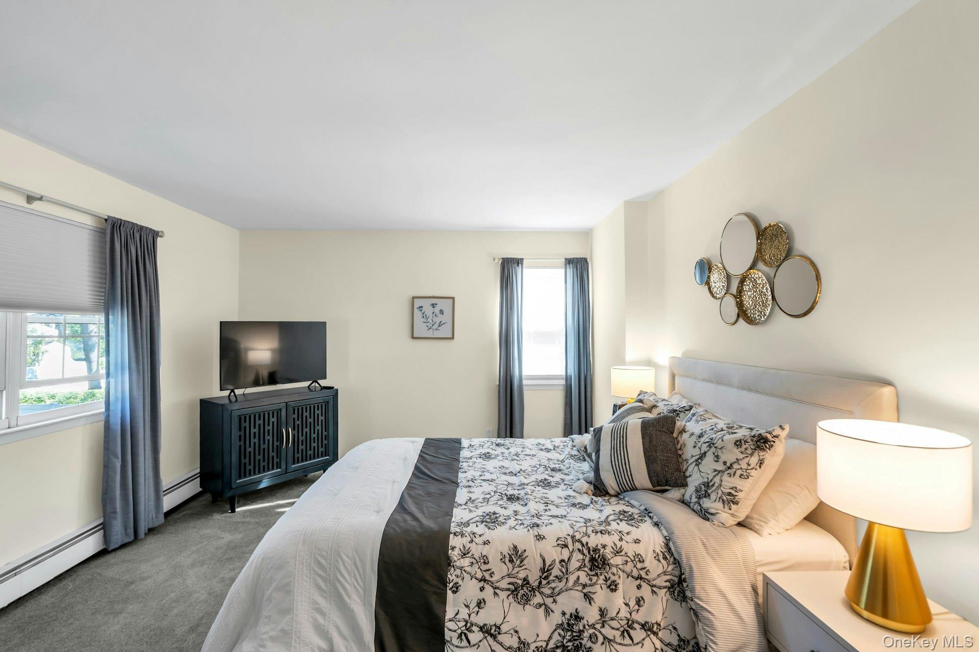 Single Family Bicycle  Suffolk County, NY 11784, MLS-917206-17