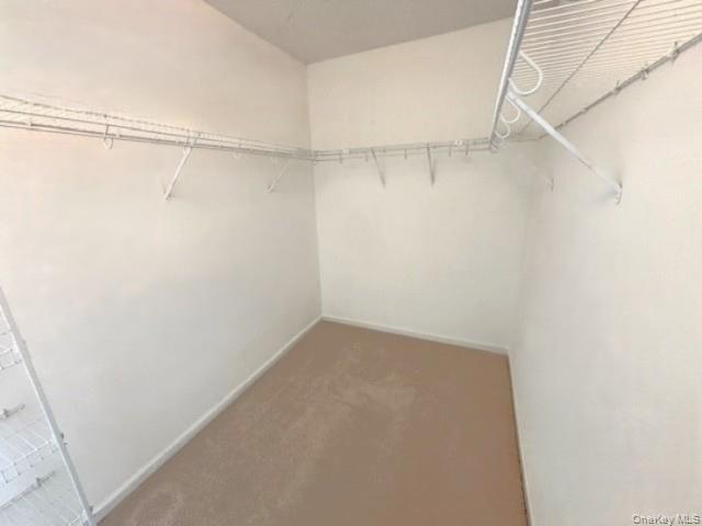 Condo Silas Seaman  Orange County, NY 10950, MLS-917226-28