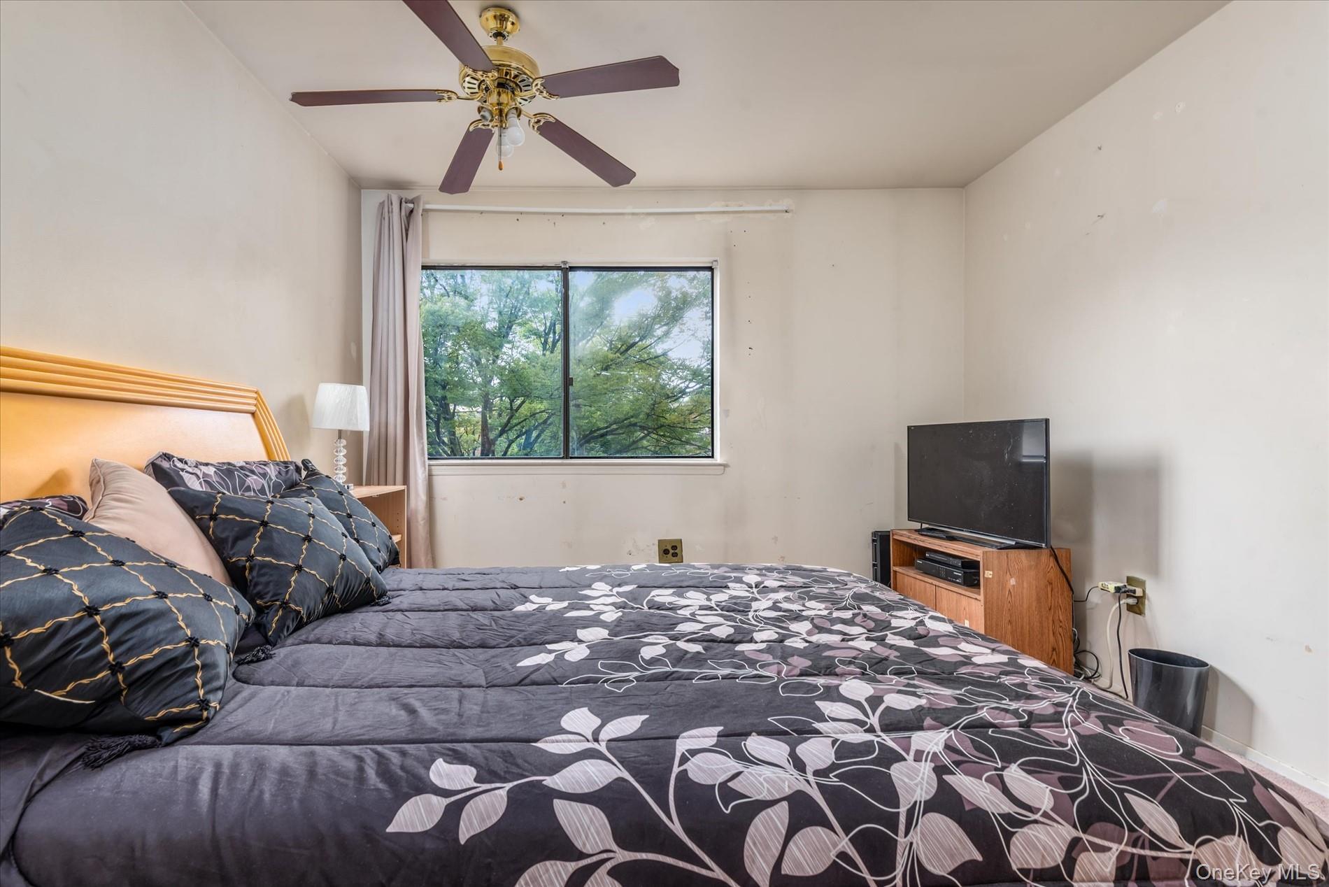 Single Family Powell  Brooklyn, NY 11212, MLS-917341-15