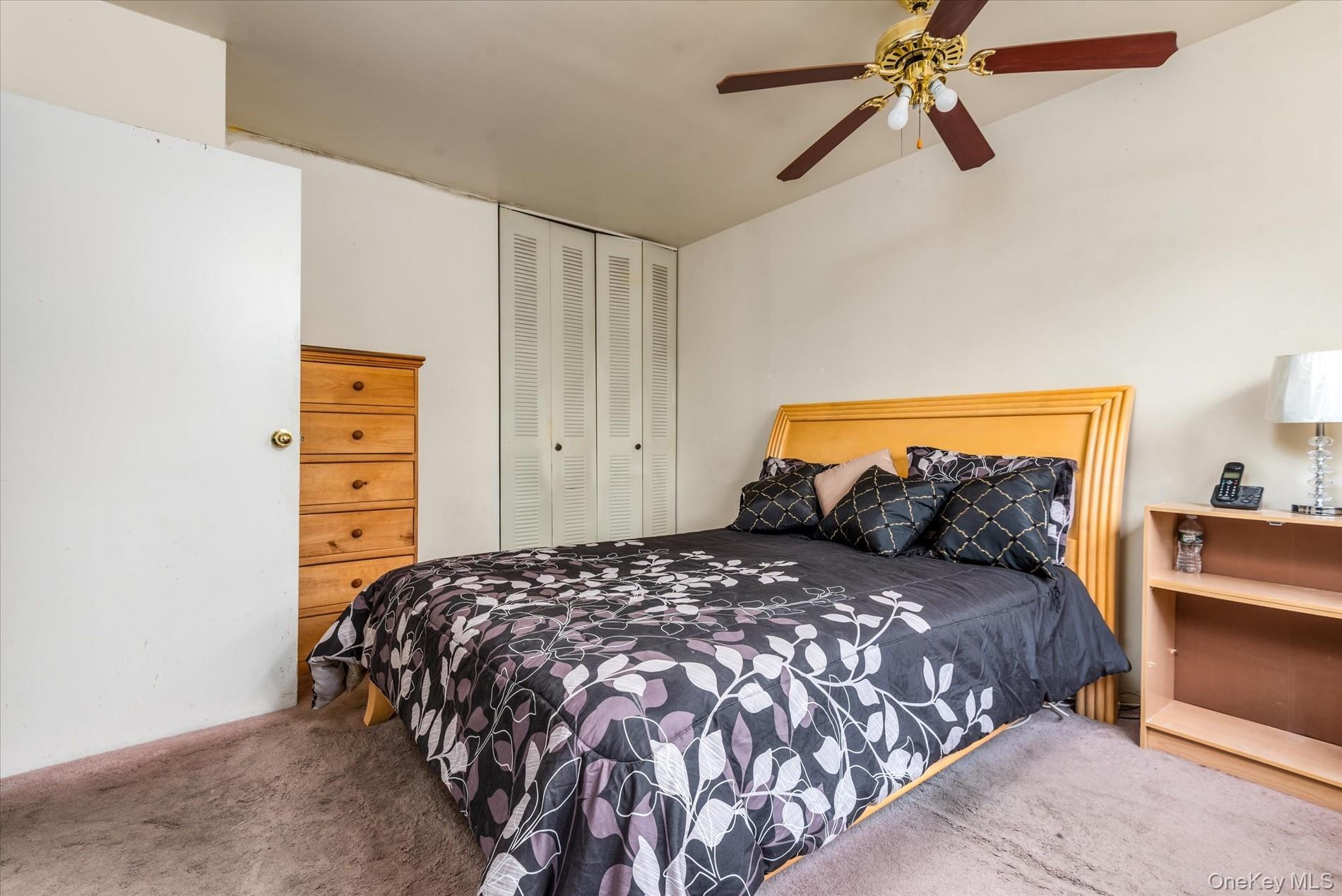 Single Family Powell  Brooklyn, NY 11212, MLS-917341-16