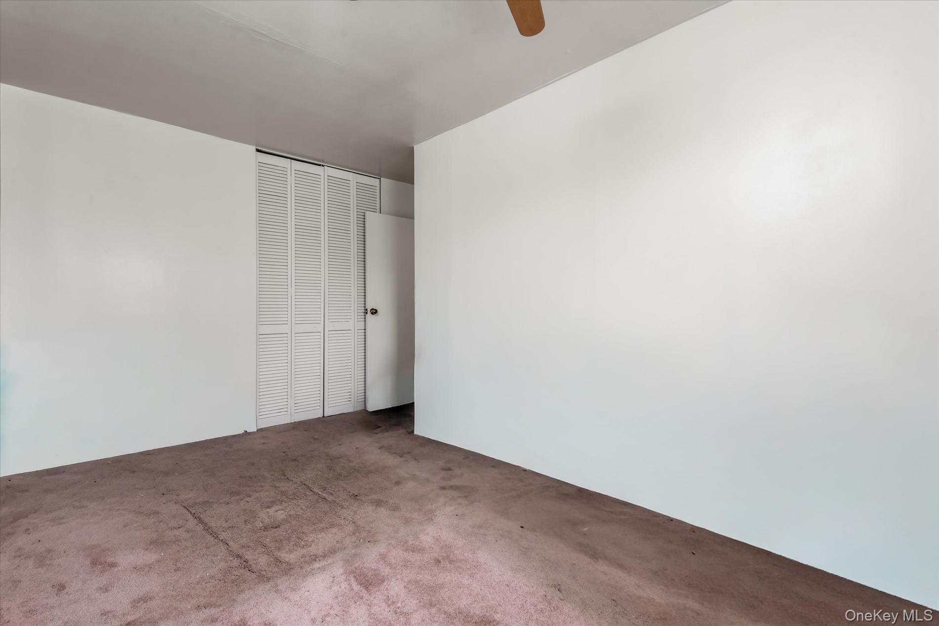 Single Family Powell  Brooklyn, NY 11212, MLS-917341-20