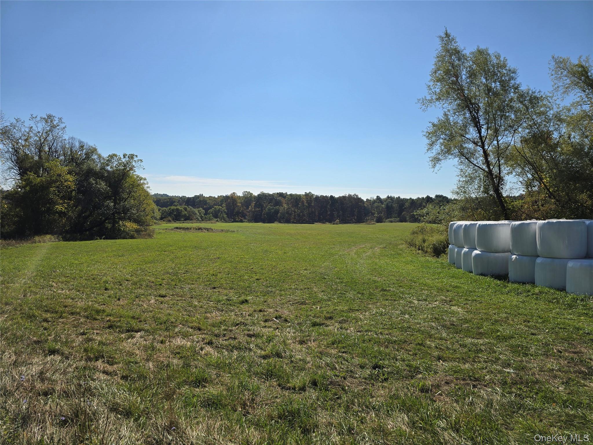 Single Family Winterton Sullivan County, NY 12721, MLS-917645-11