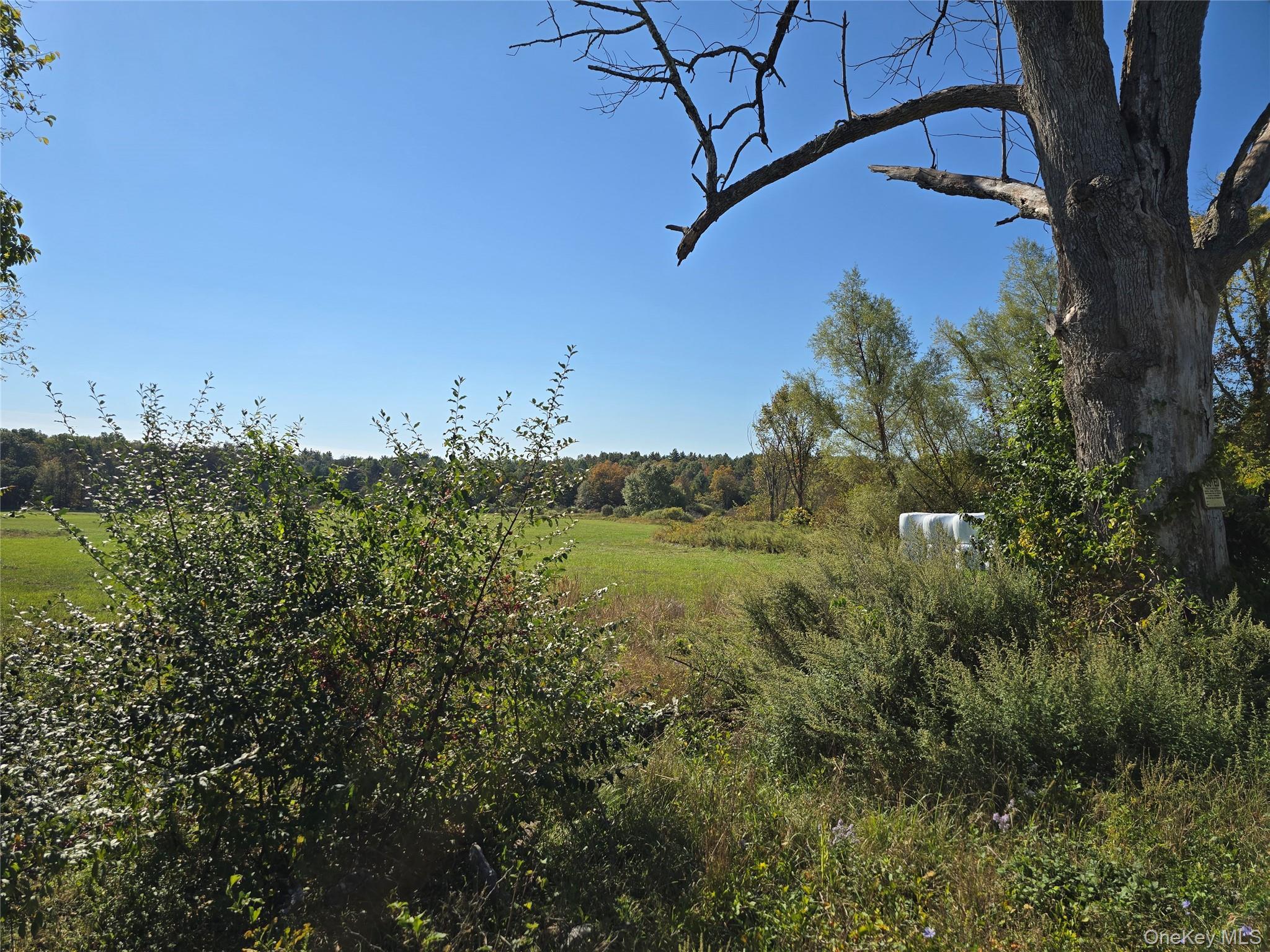 Single Family Winterton Sullivan County, NY 12721, MLS-917645-12