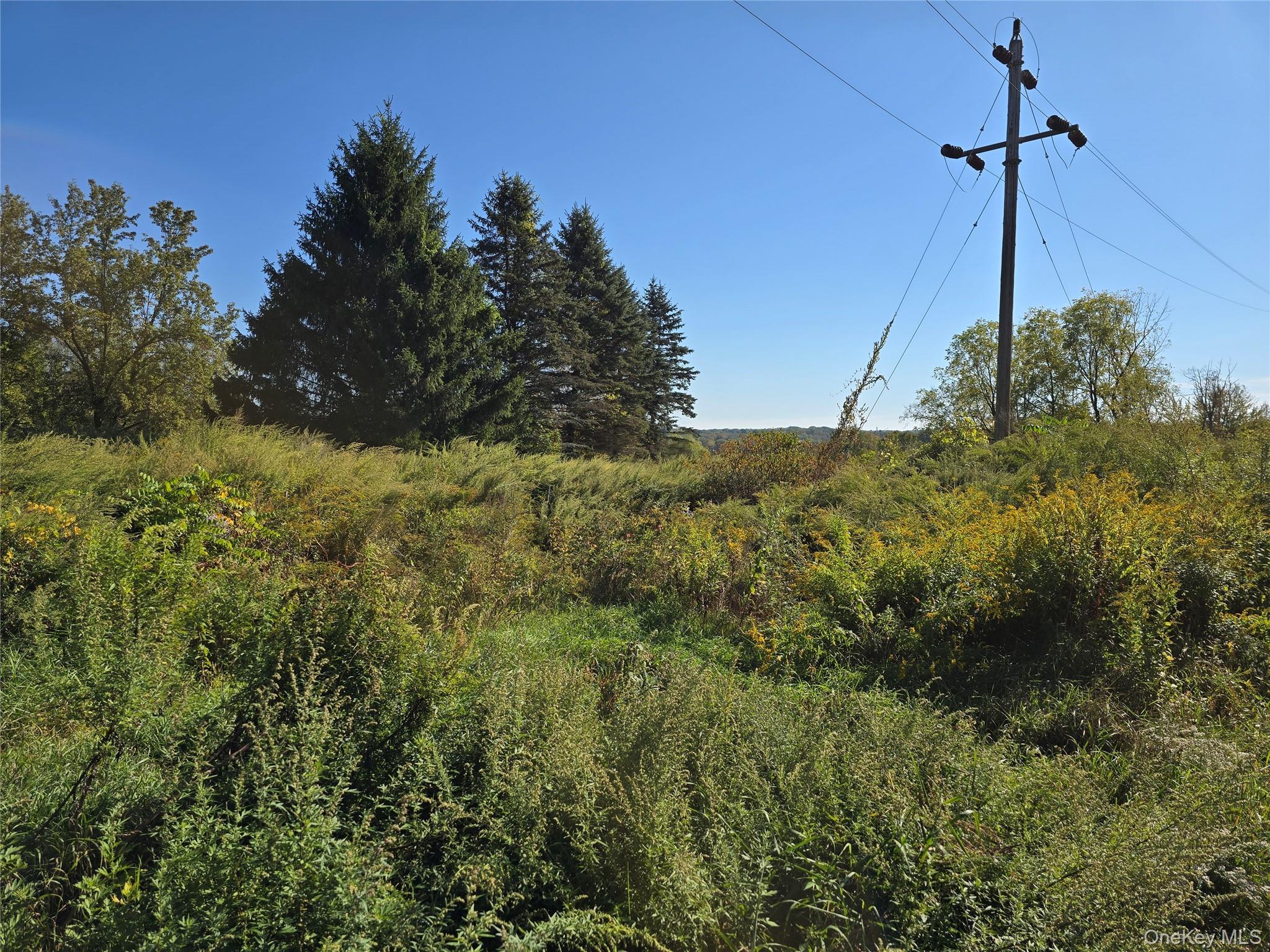 Single Family Winterton Sullivan County, NY 12721, MLS-917645-9