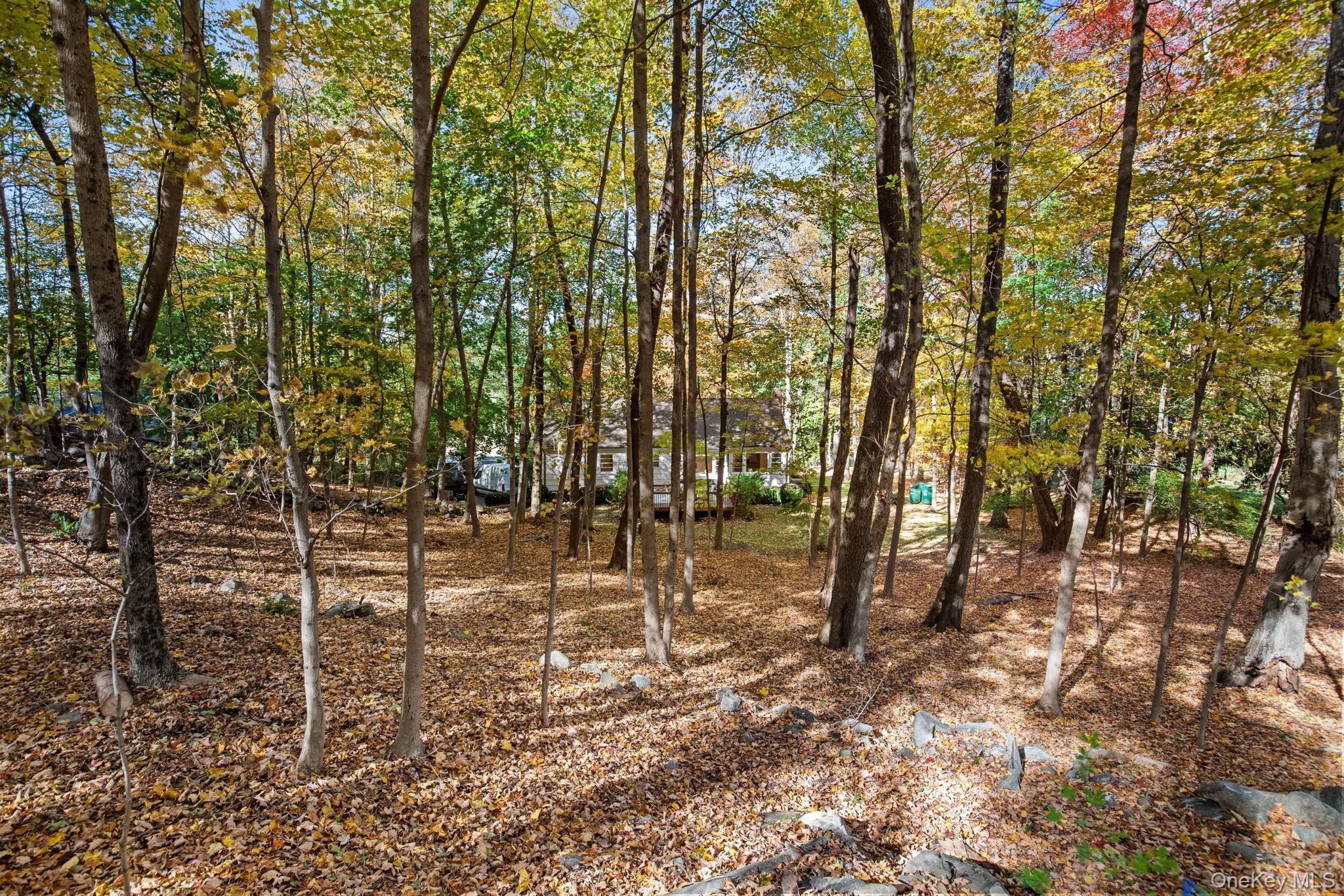 Single Family Millwood  Westchester County, NY 10514, MLS-917712-38