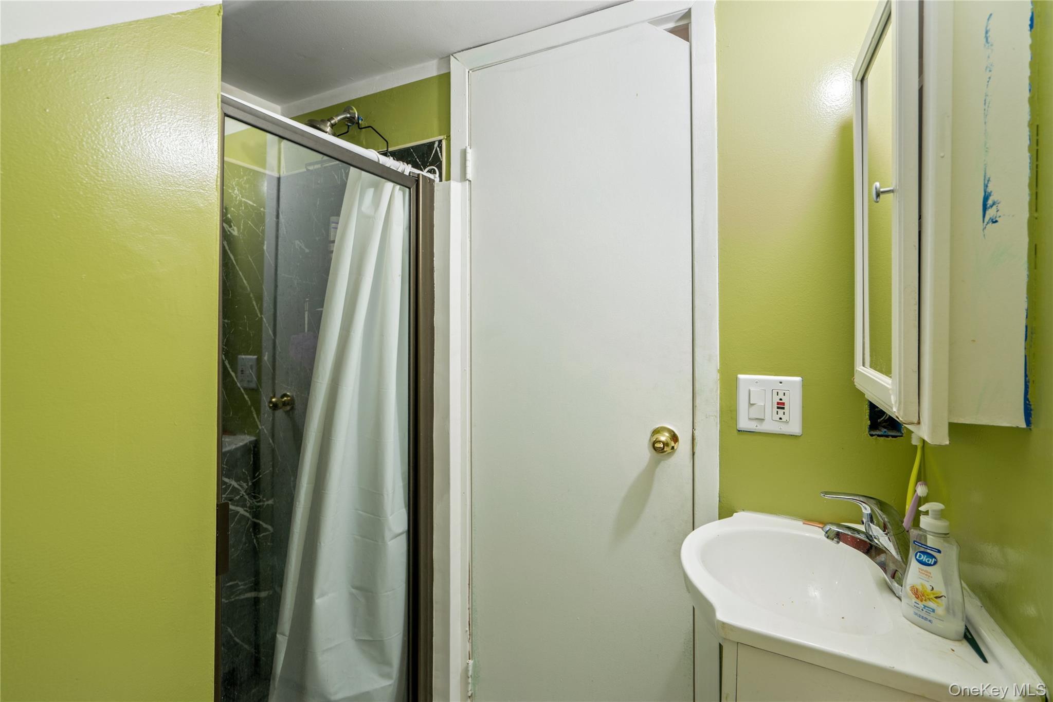 Single Family Rosevale  Suffolk County, NY 11779, MLS-917760-6