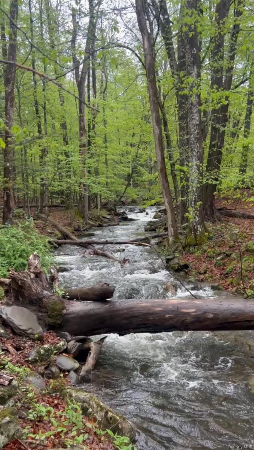 Single Family Cross Patch  Ulster County, NY 12495, MLS-917797-24