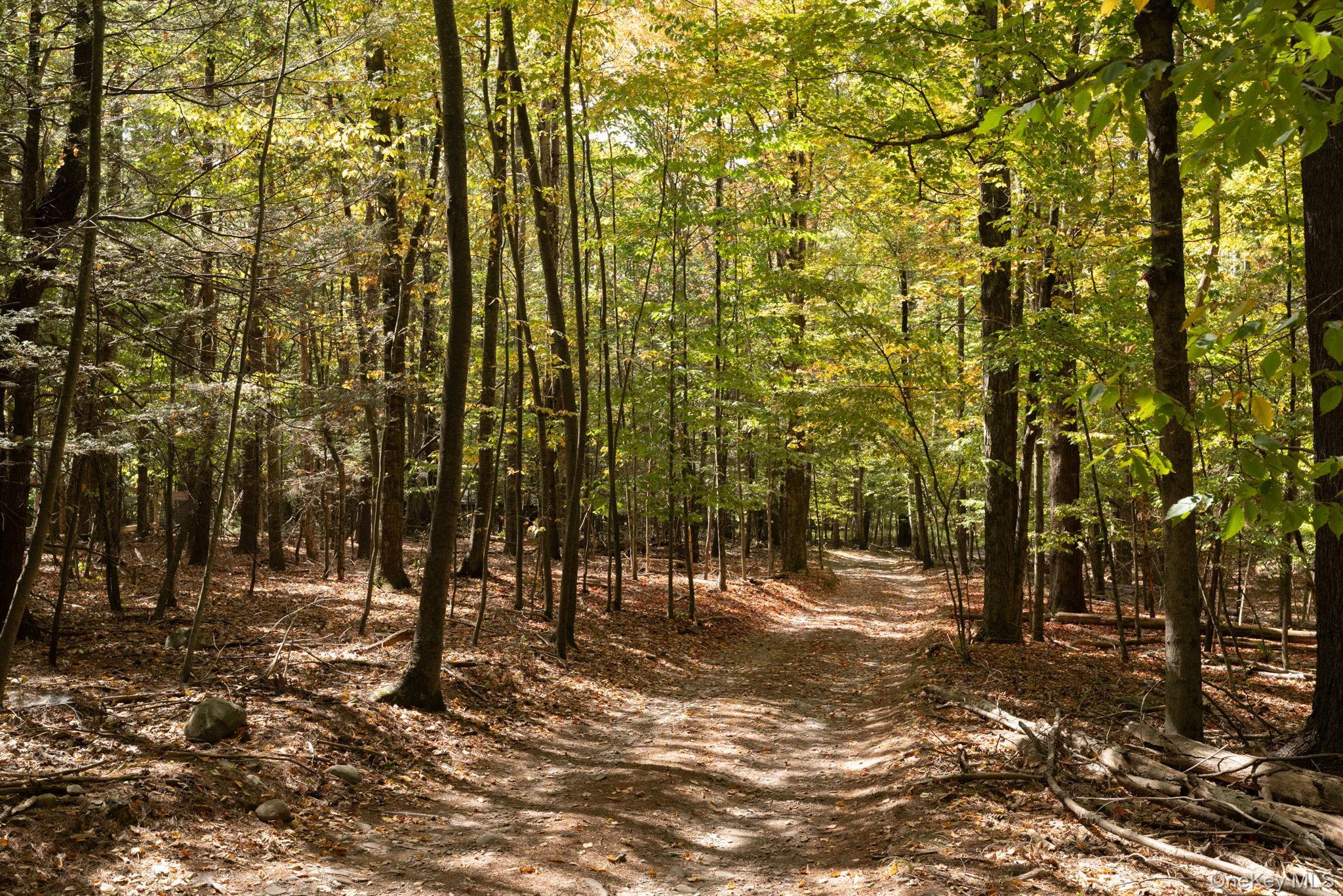 Single Family Cross Patch  Ulster County, NY 12495, MLS-917797-25