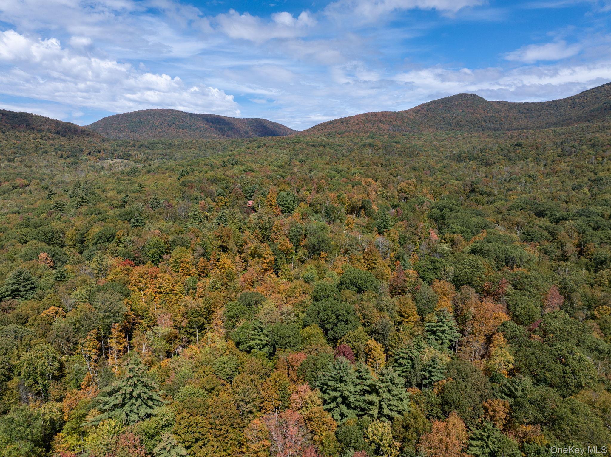 Single Family Cross Patch  Ulster County, NY 12495, MLS-917797-31