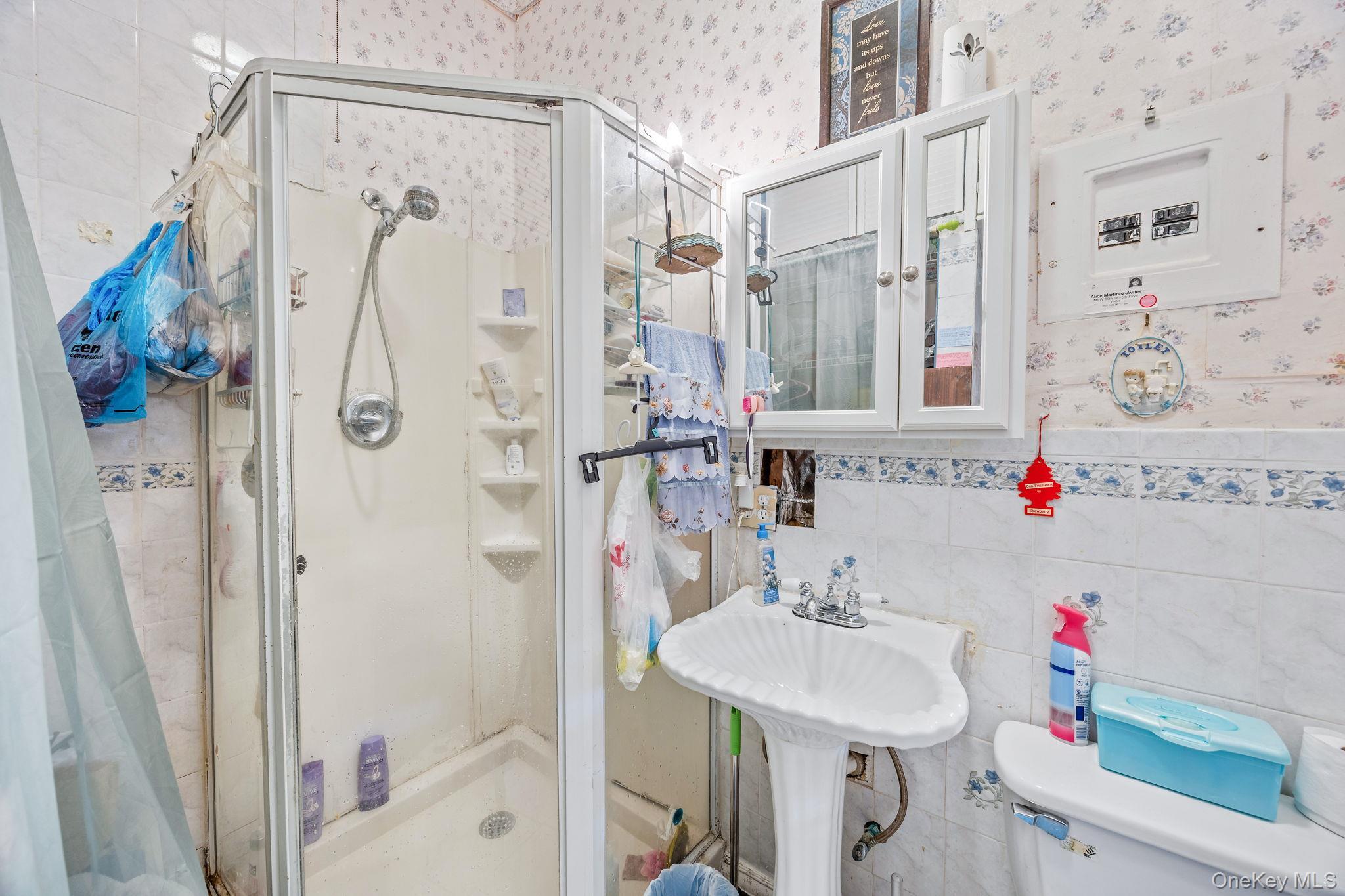 Single Family Thames Brooklyn, NY 11206, MLS-917826-14