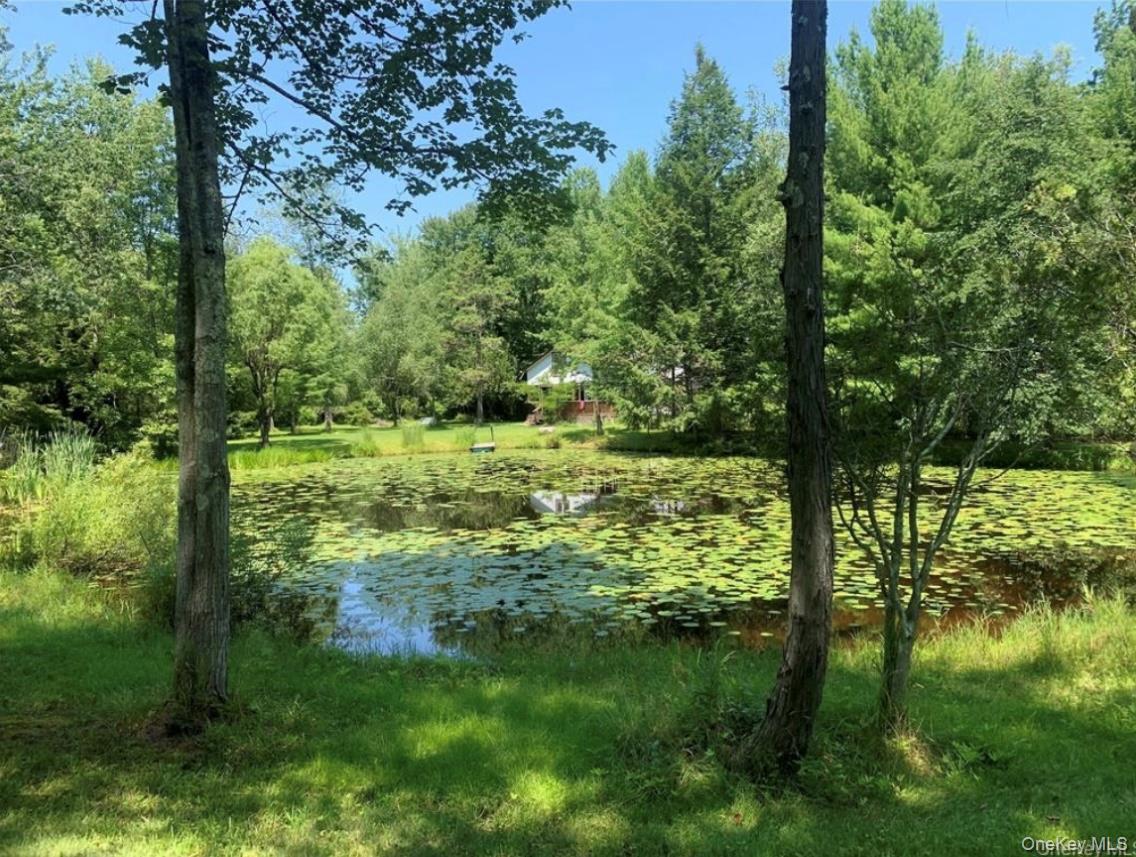 Single Family Briggs Ulster County, NY 12428, MLS-917920-11