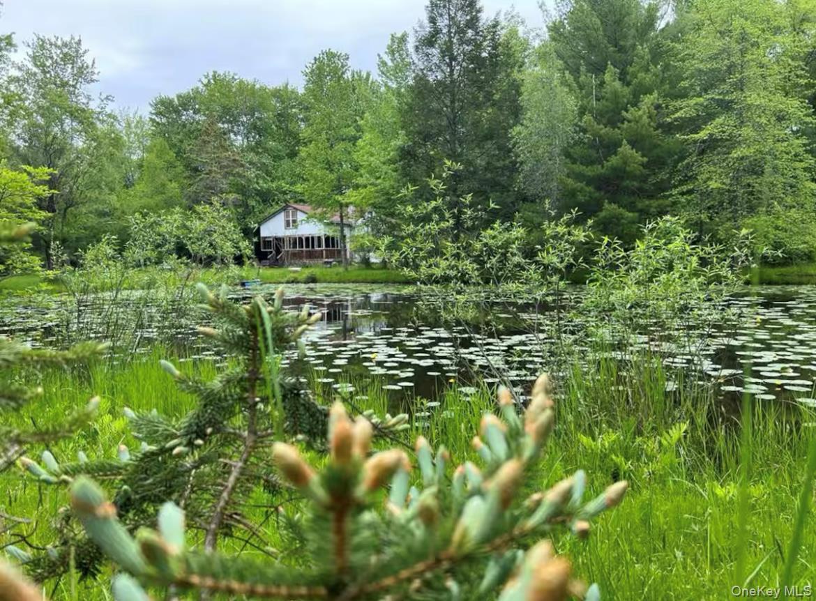 Single Family Briggs Ulster County, NY 12428, MLS-917920-2