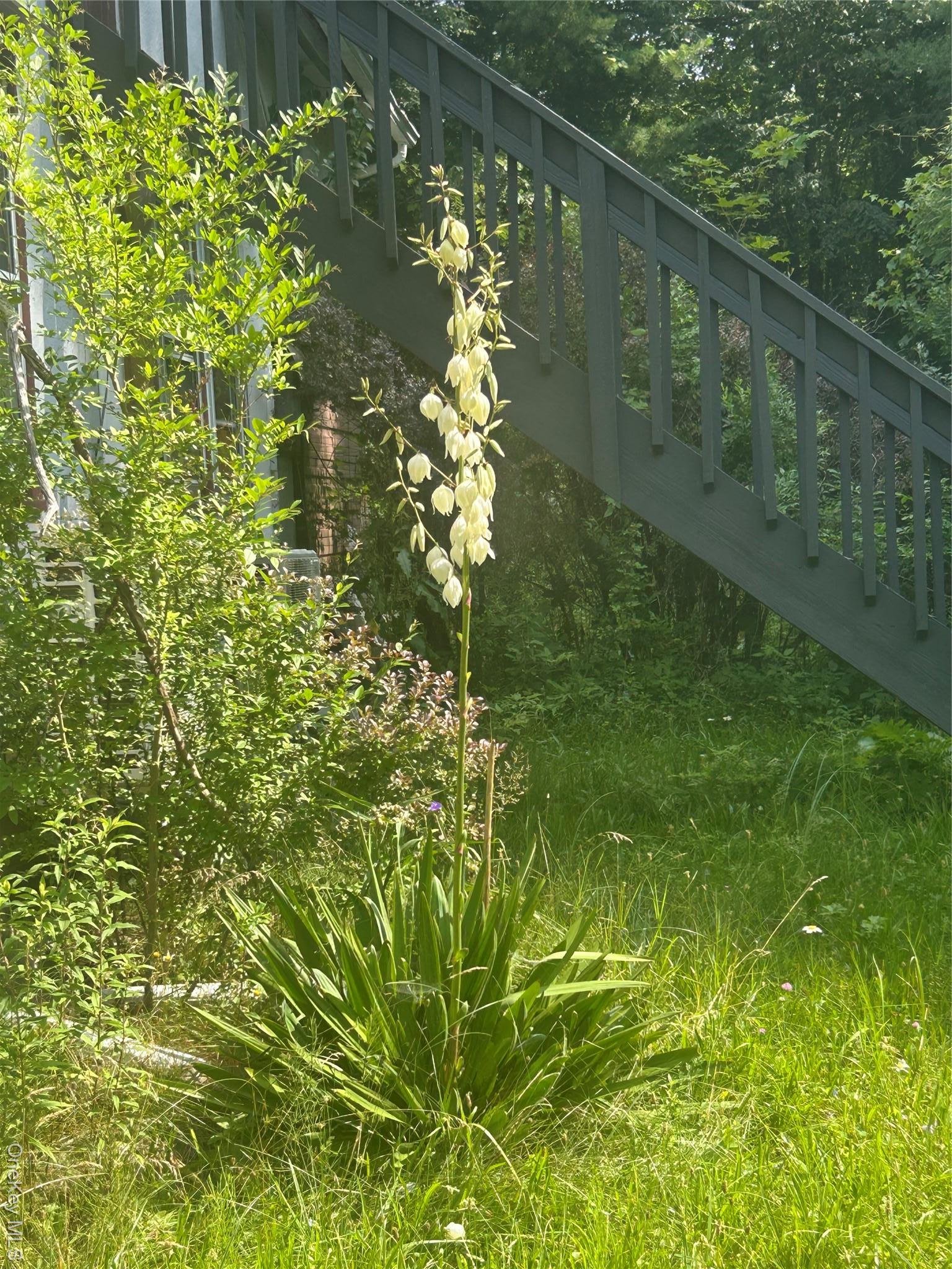 Single Family Briggs Ulster County, NY 12428, MLS-917920-3