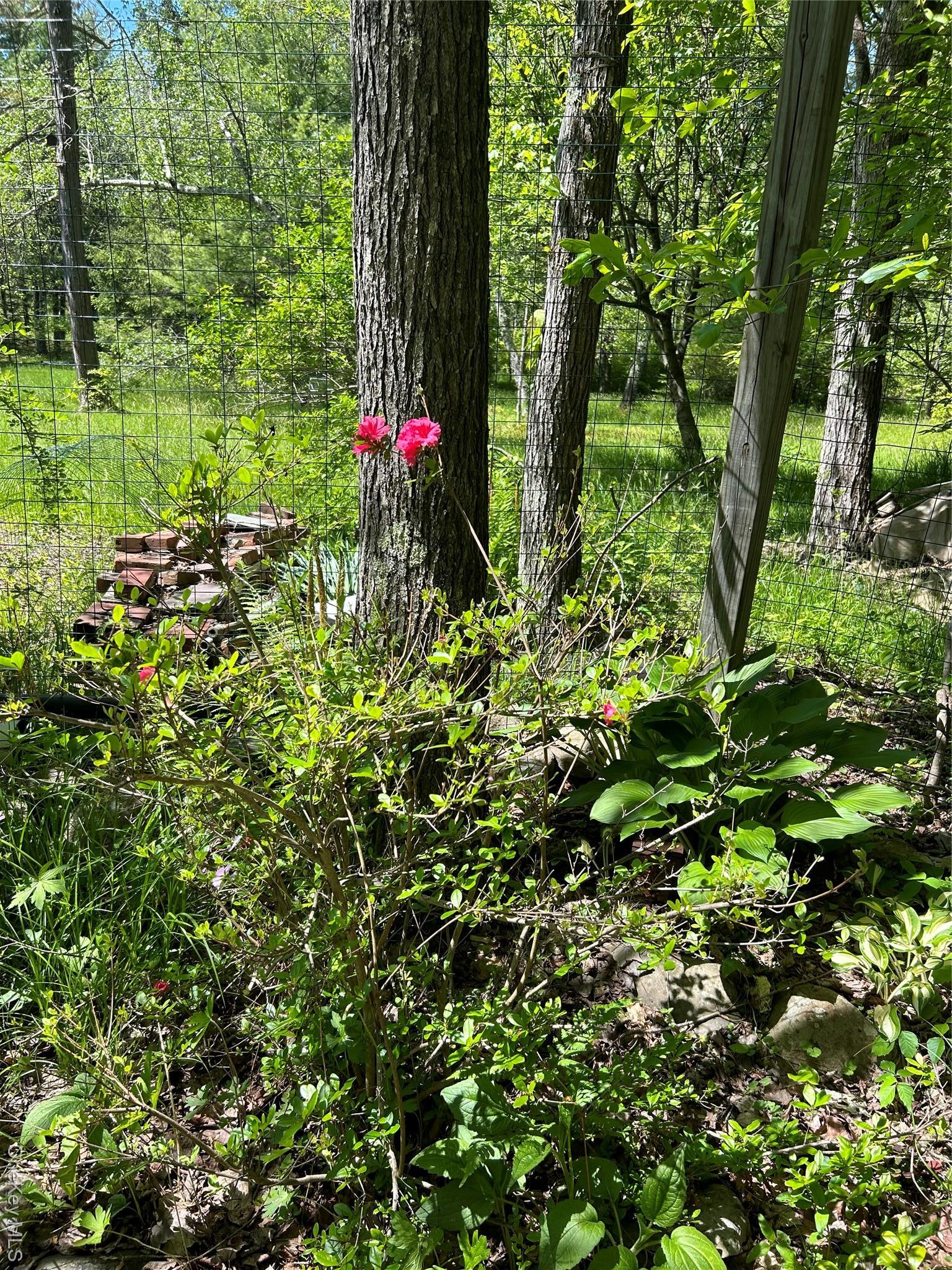 Single Family Briggs Ulster County, NY 12428, MLS-917920-4