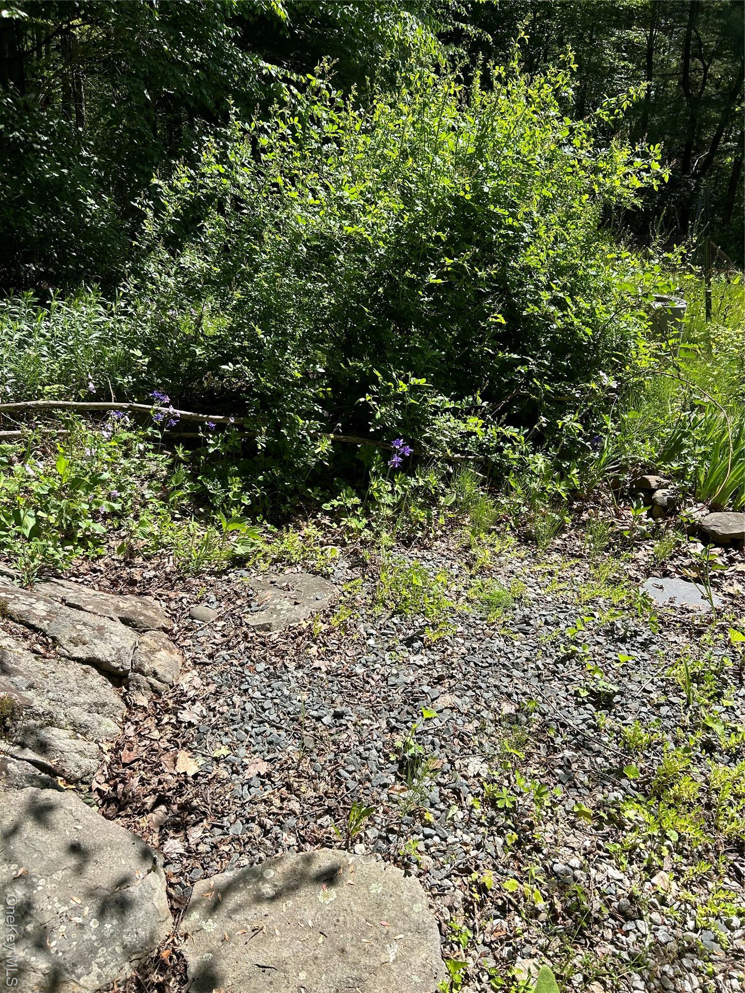 Single Family Briggs Ulster County, NY 12428, MLS-917920-5