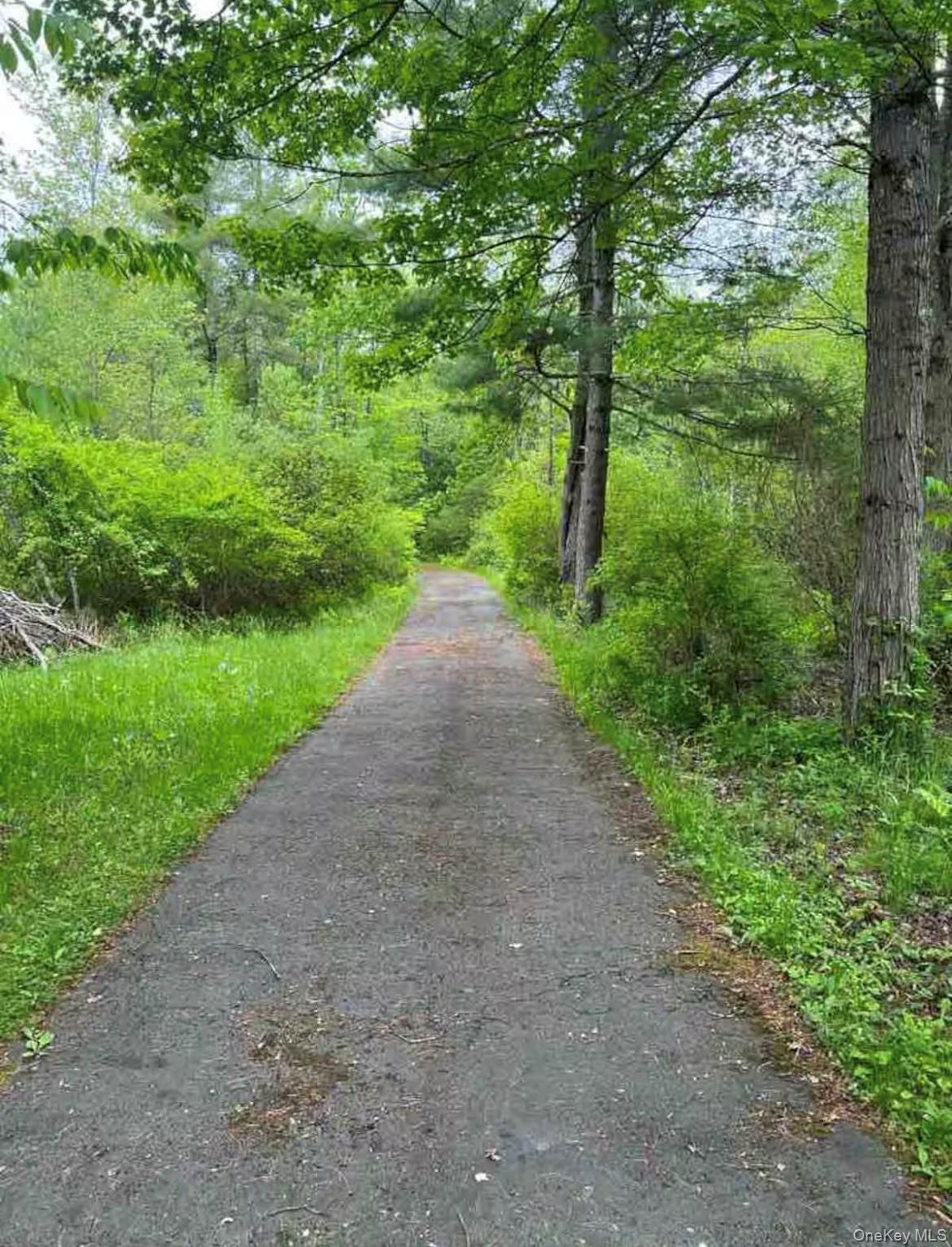 Single Family Briggs Ulster County, NY 12428, MLS-917920-6