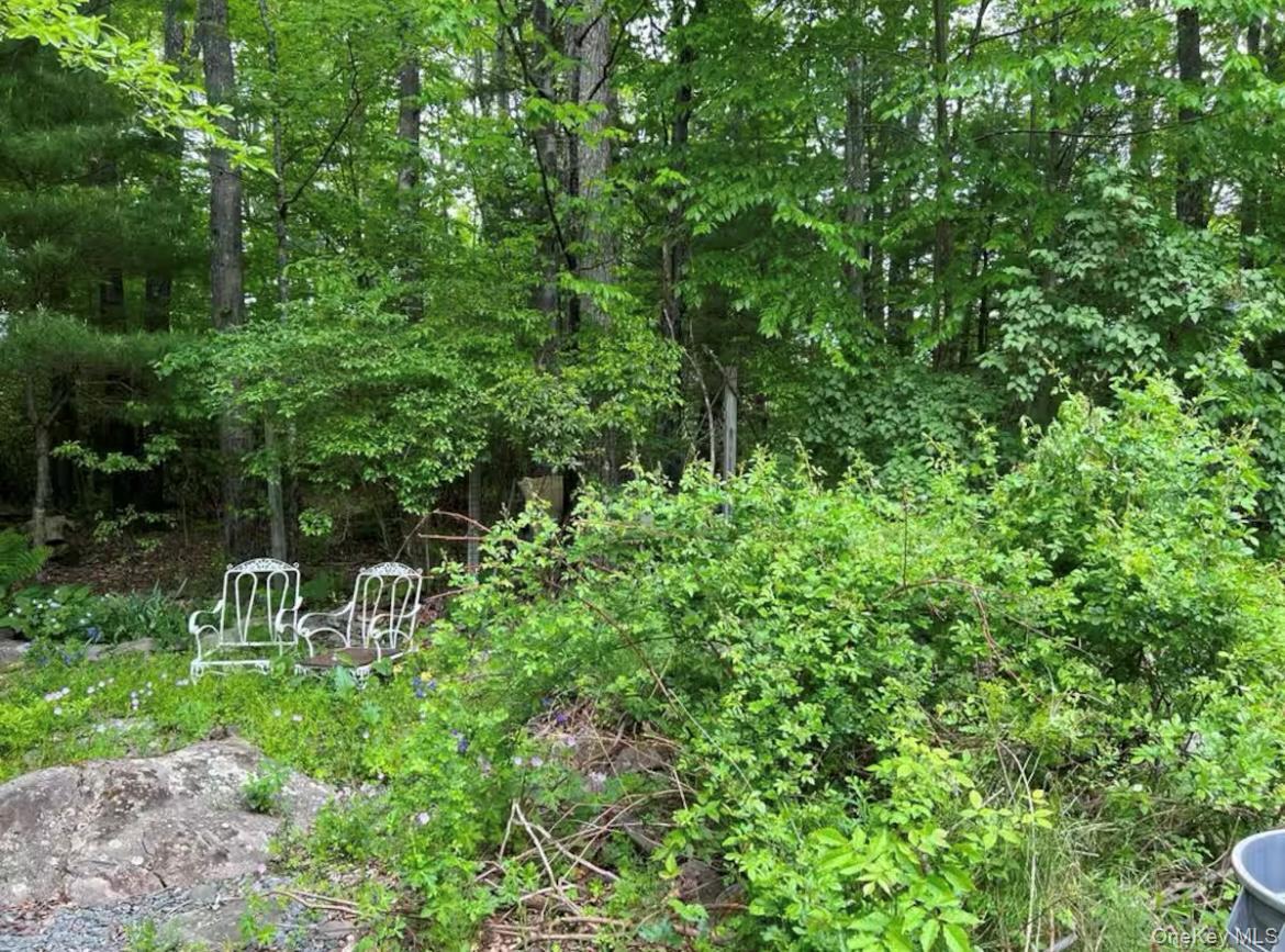 Single Family Briggs Ulster County, NY 12428, MLS-917920-7